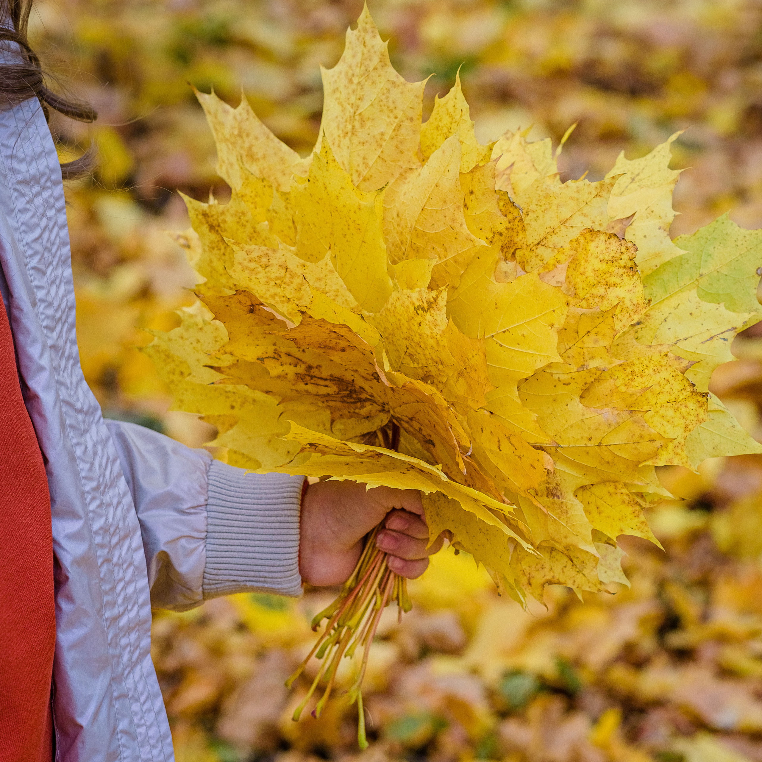 Отзывы. Портретный и предметный фотограф — Москва, Коломна, юго-восток Моск.обл
