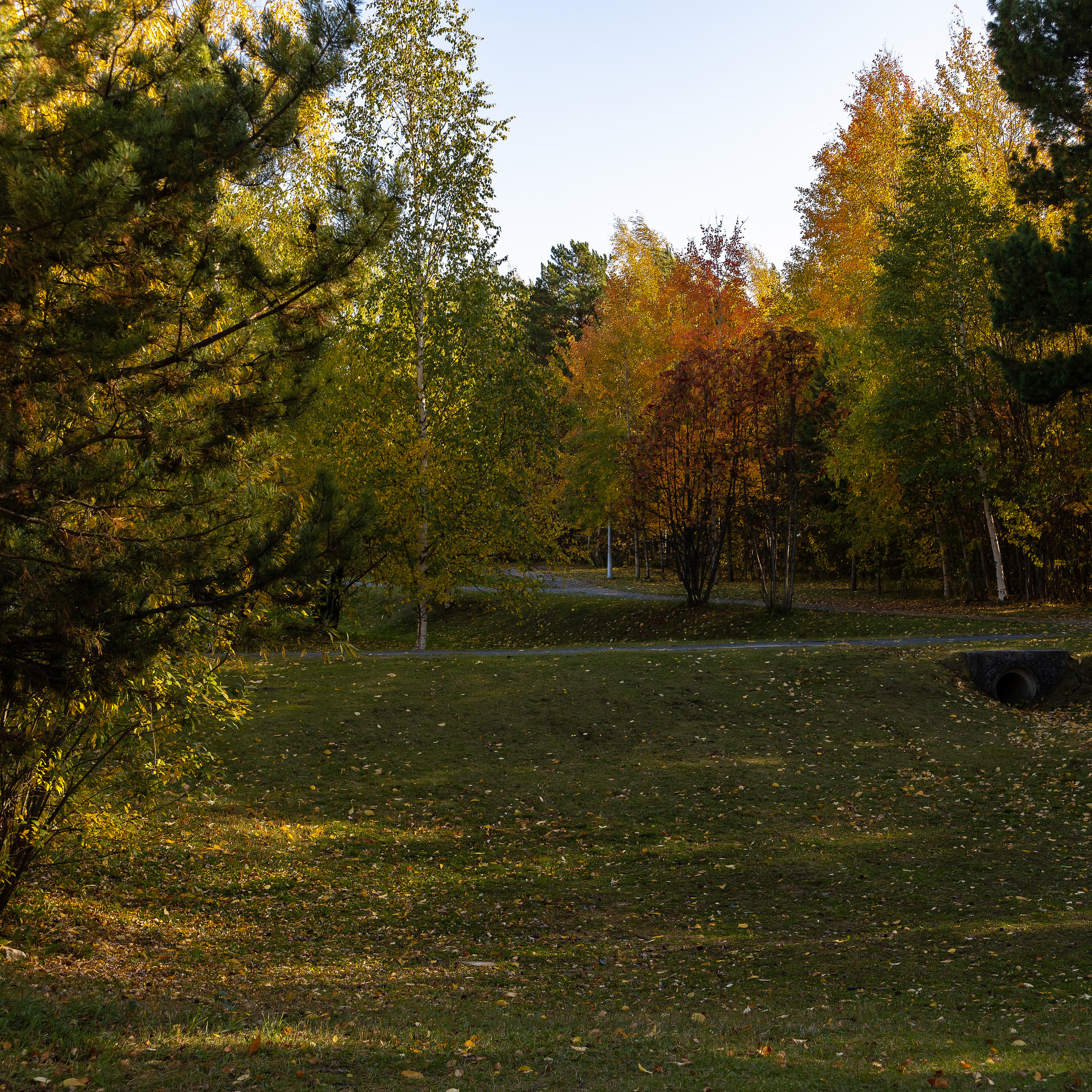 Отзывы. Фотограф Дмитрий Плетнёв