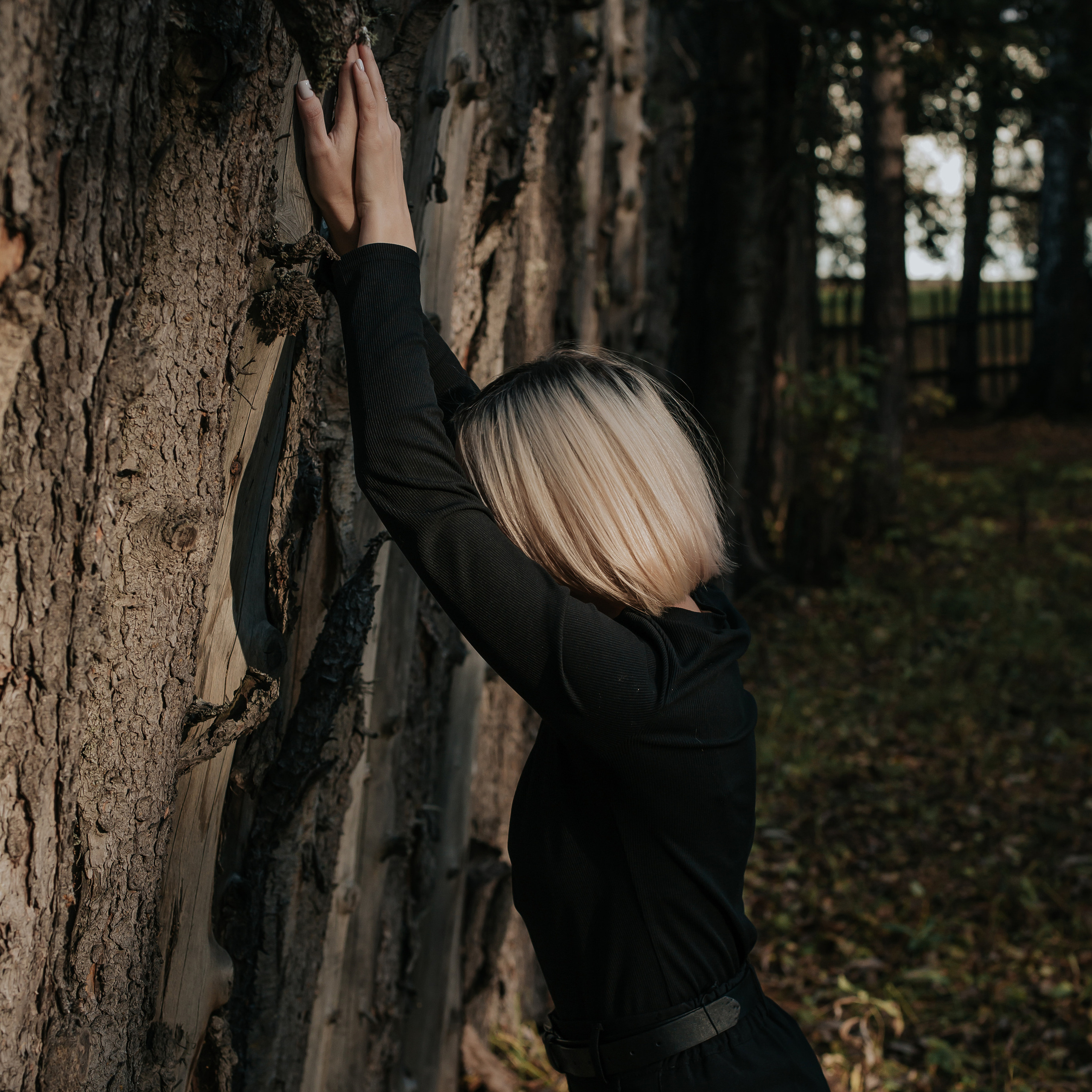 ФОТО-ПРОГУЛКА В ЛЕСУ