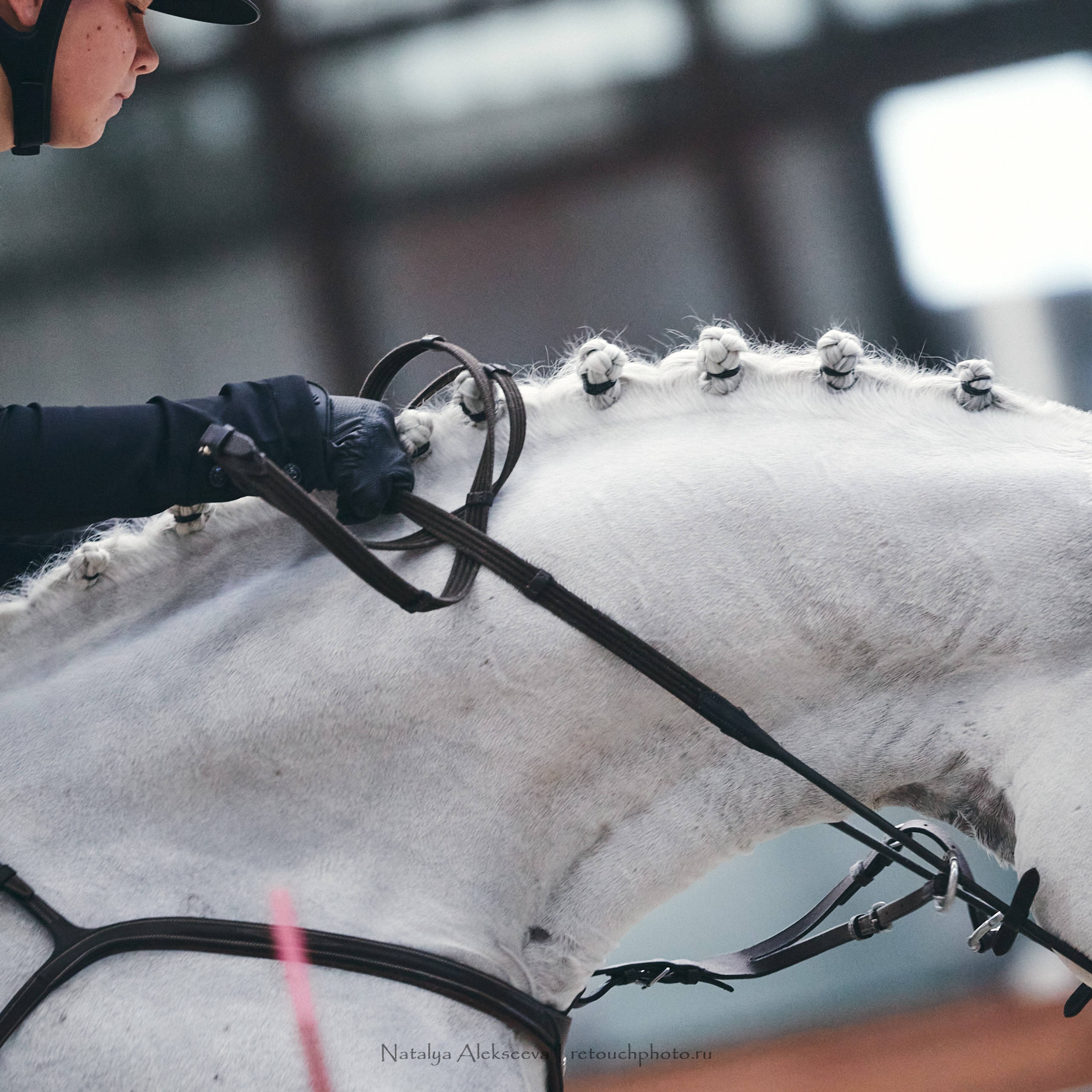 Отзывы. Репортажный фотограф и ретушер в Москве Наталья Алексеева