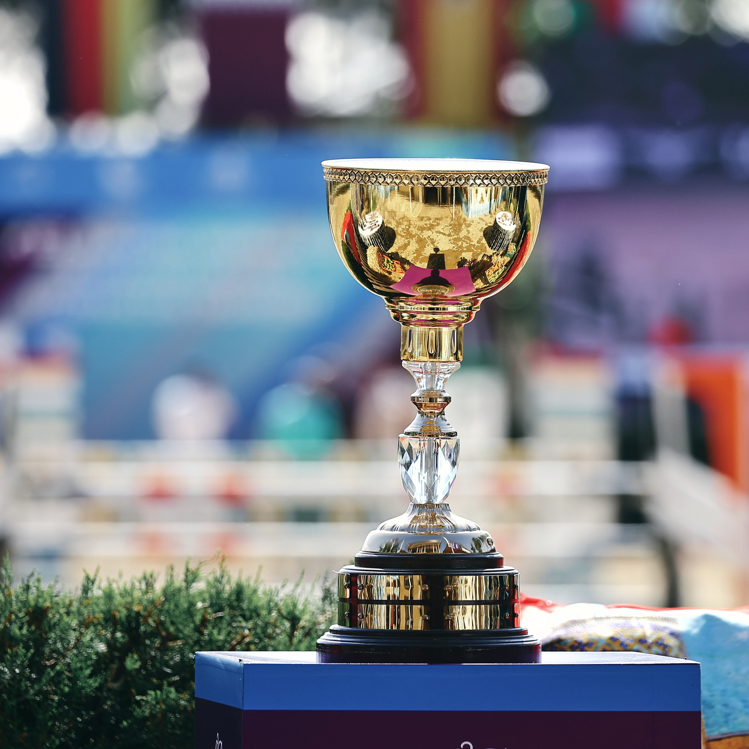 Отзывы. Репортажный фотограф и ретушер в Москве Наталья Алексеева