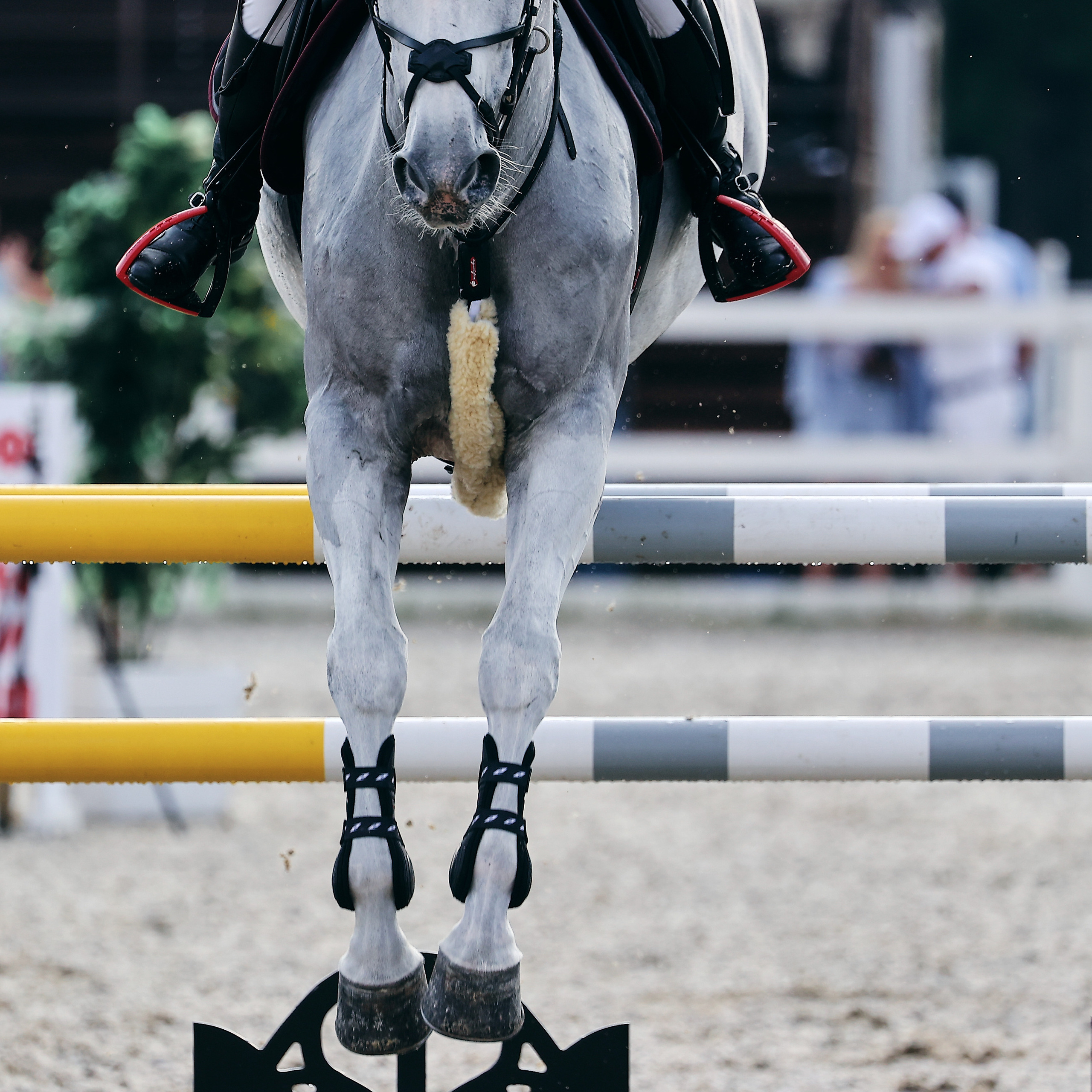 Отзывы. Репортажный фотограф и ретушер в Москве Наталья Алексеева