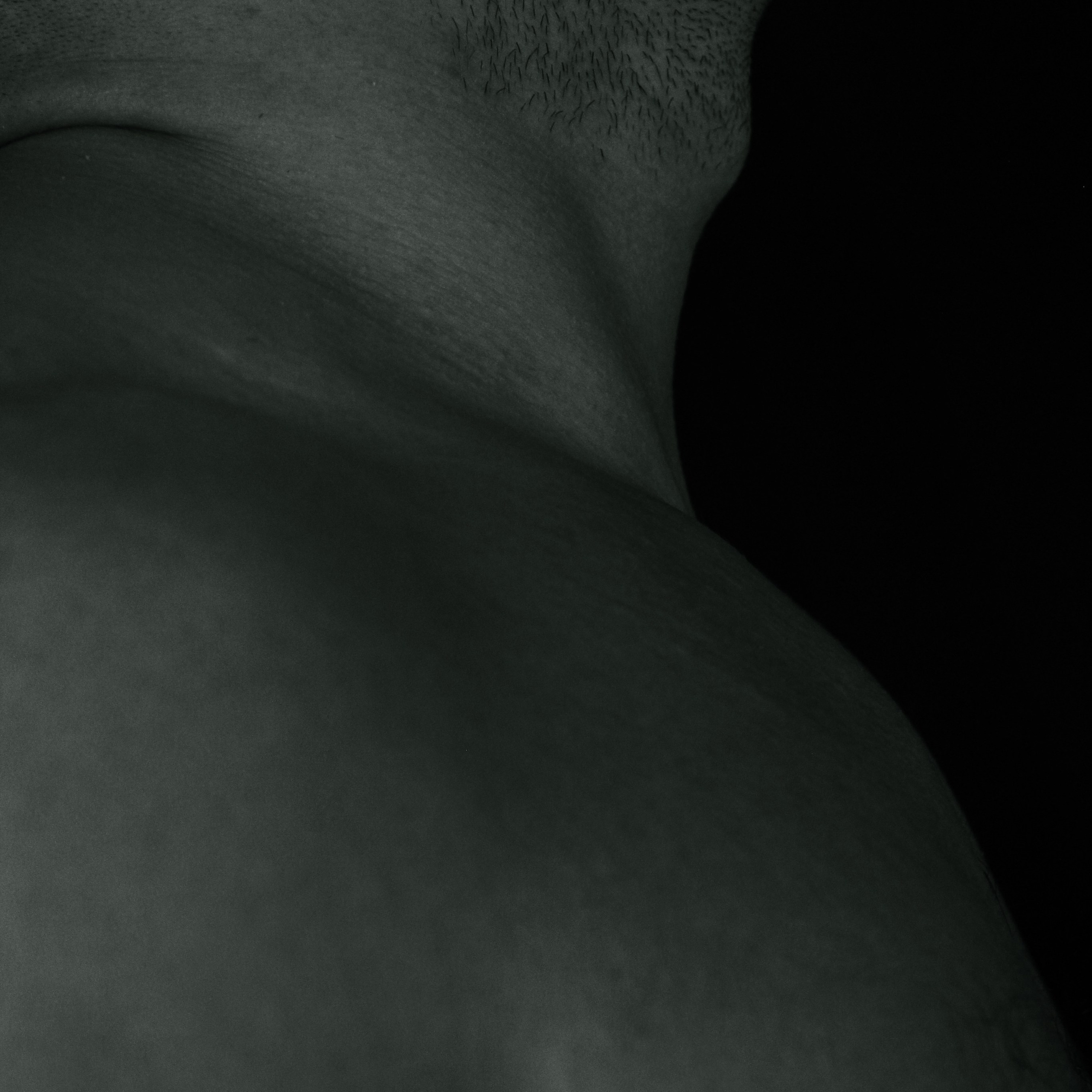 Мужская обнажённая съёмка