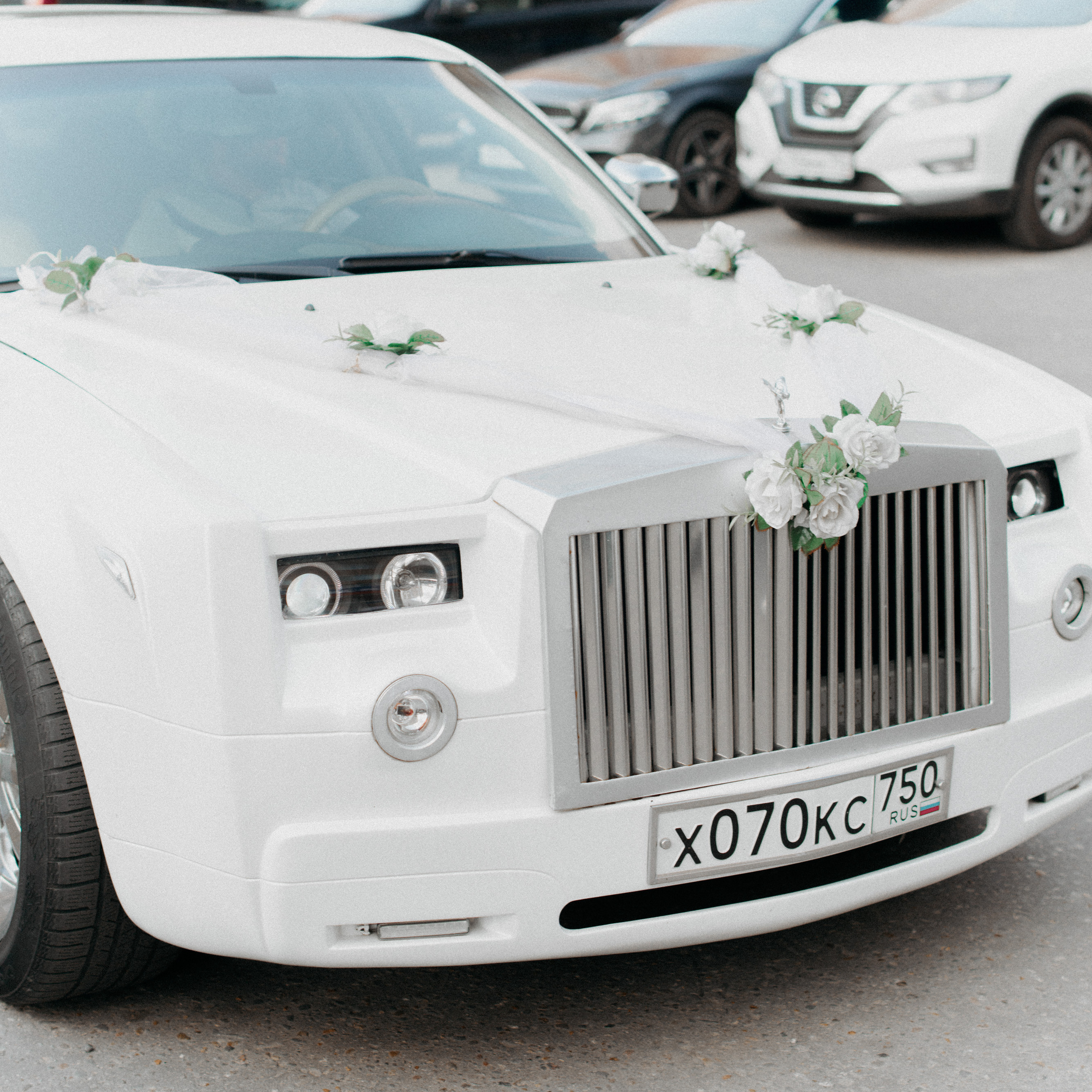 Отзывы о работе фотографа Алена Носик