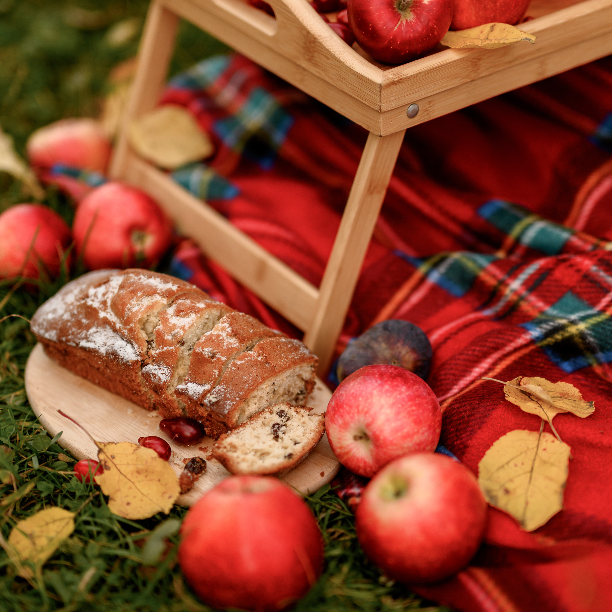 Фотосессия мама и дочка в парке