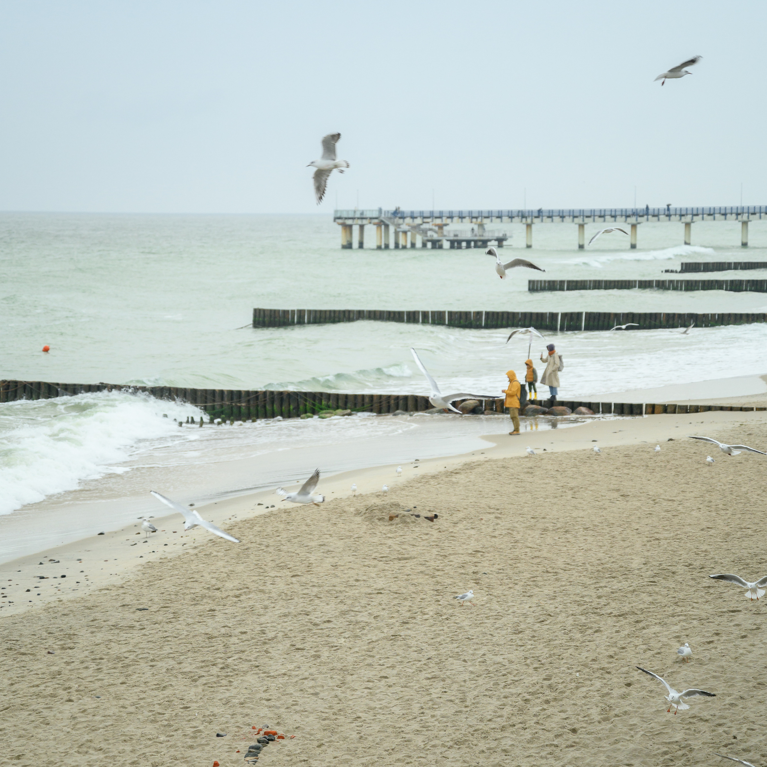 На берегу Балтики. Зеленоградск