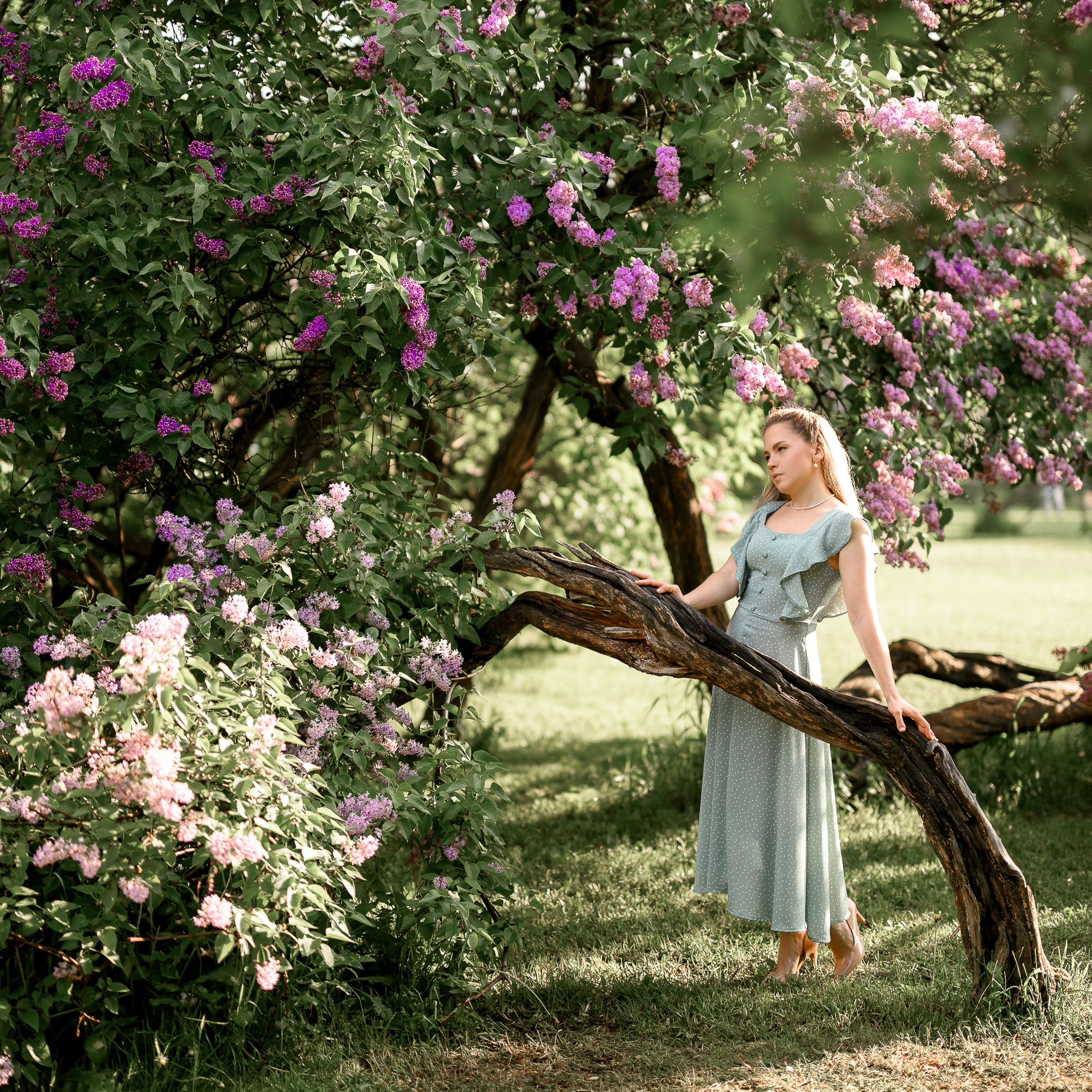 Анастасия. Фотосессия в&nbsp;цветении в&nbsp;Сиреневом саду в&nbsp;Москве