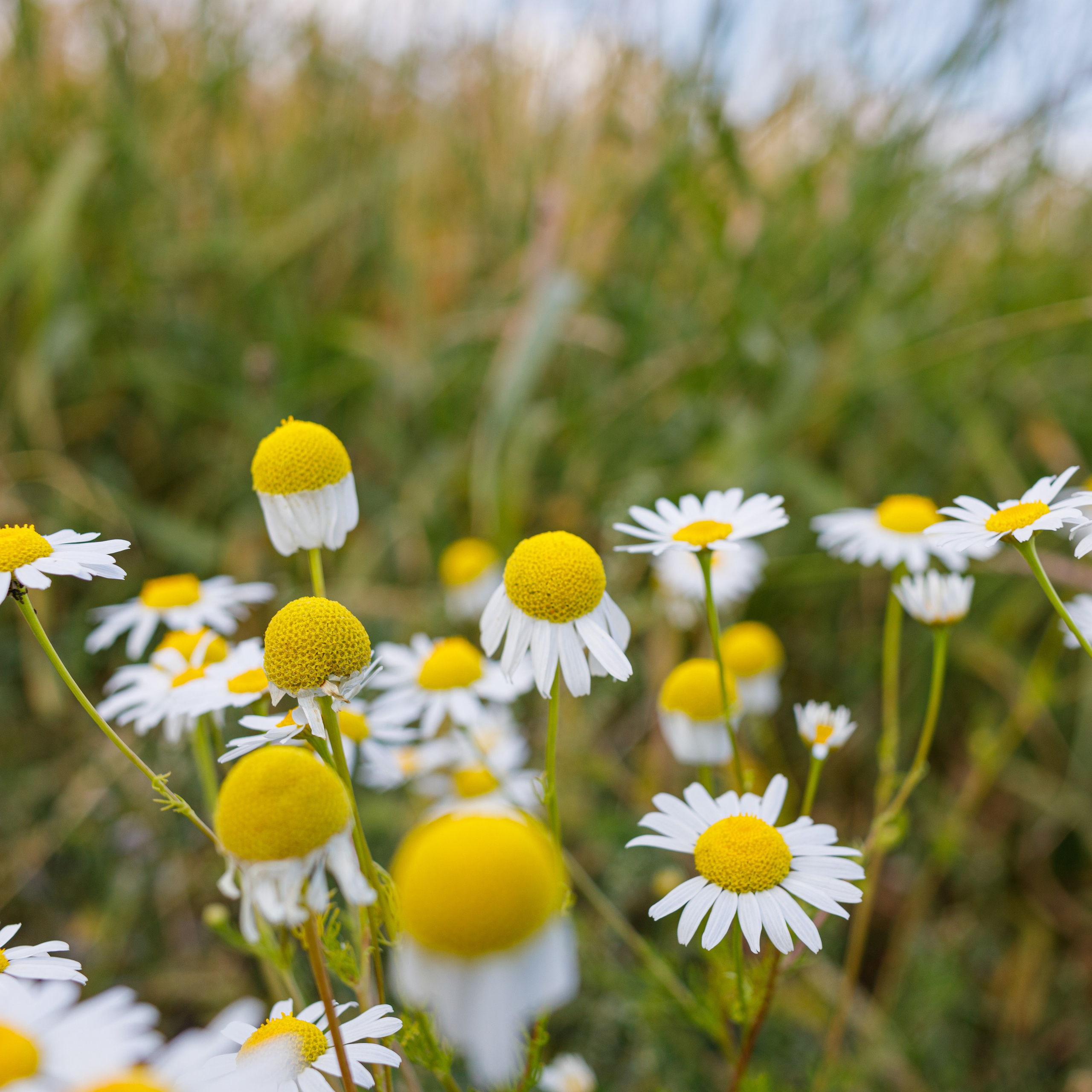 Отзывы о моей работе