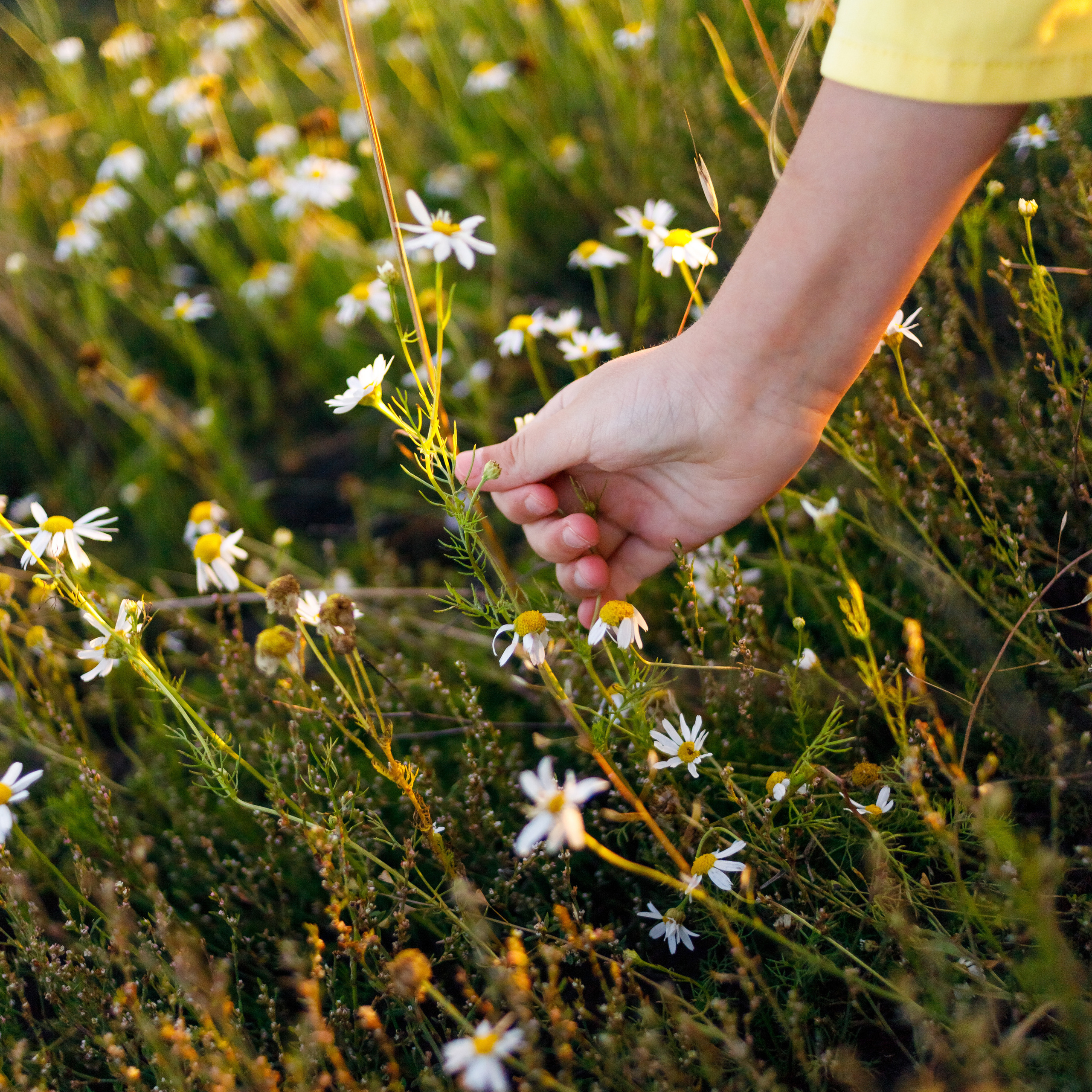 Отзывы о моей работе