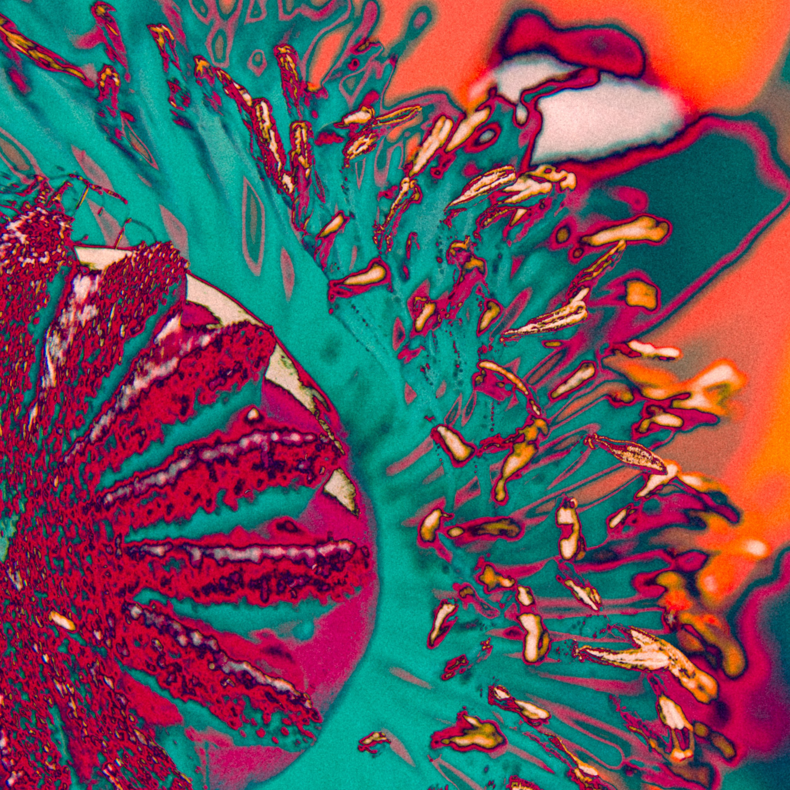 NON-EXISTENT FLOWERS