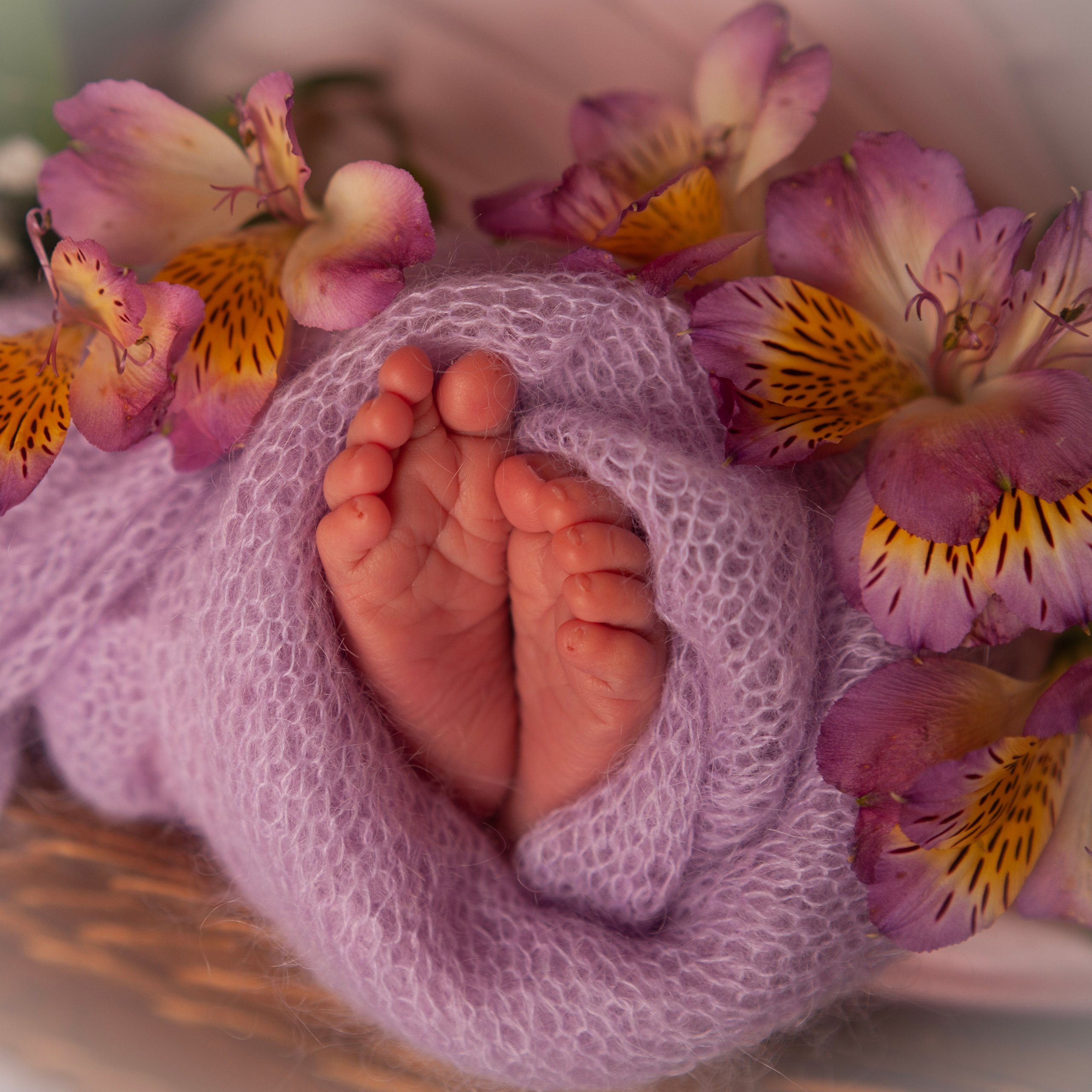 Образы из открытых съёмок. Профессиональный фотограф новорожденных в Воронеже Виктория Баева