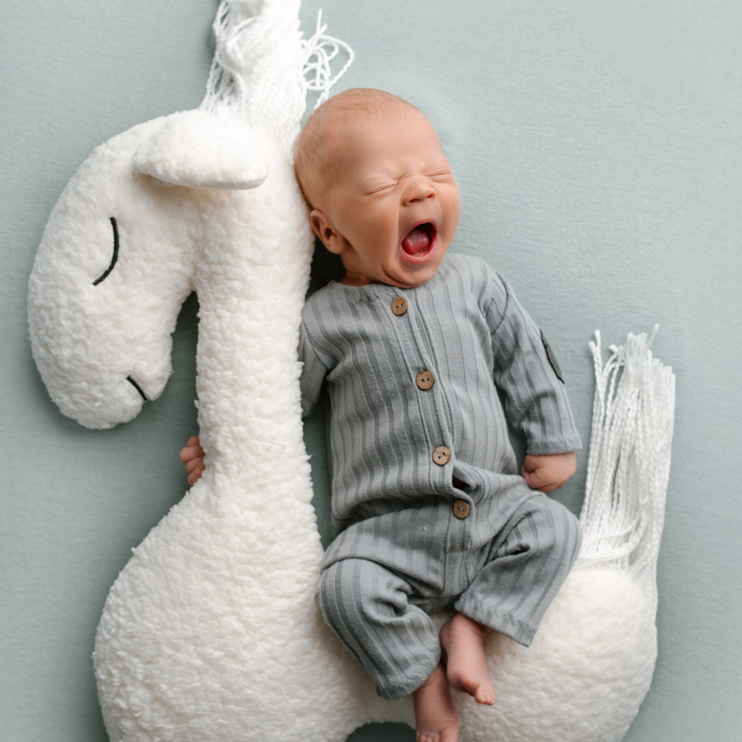 Образы из открытых съёмок. Профессиональный фотограф новорожденных в Воронеже Виктория Баева