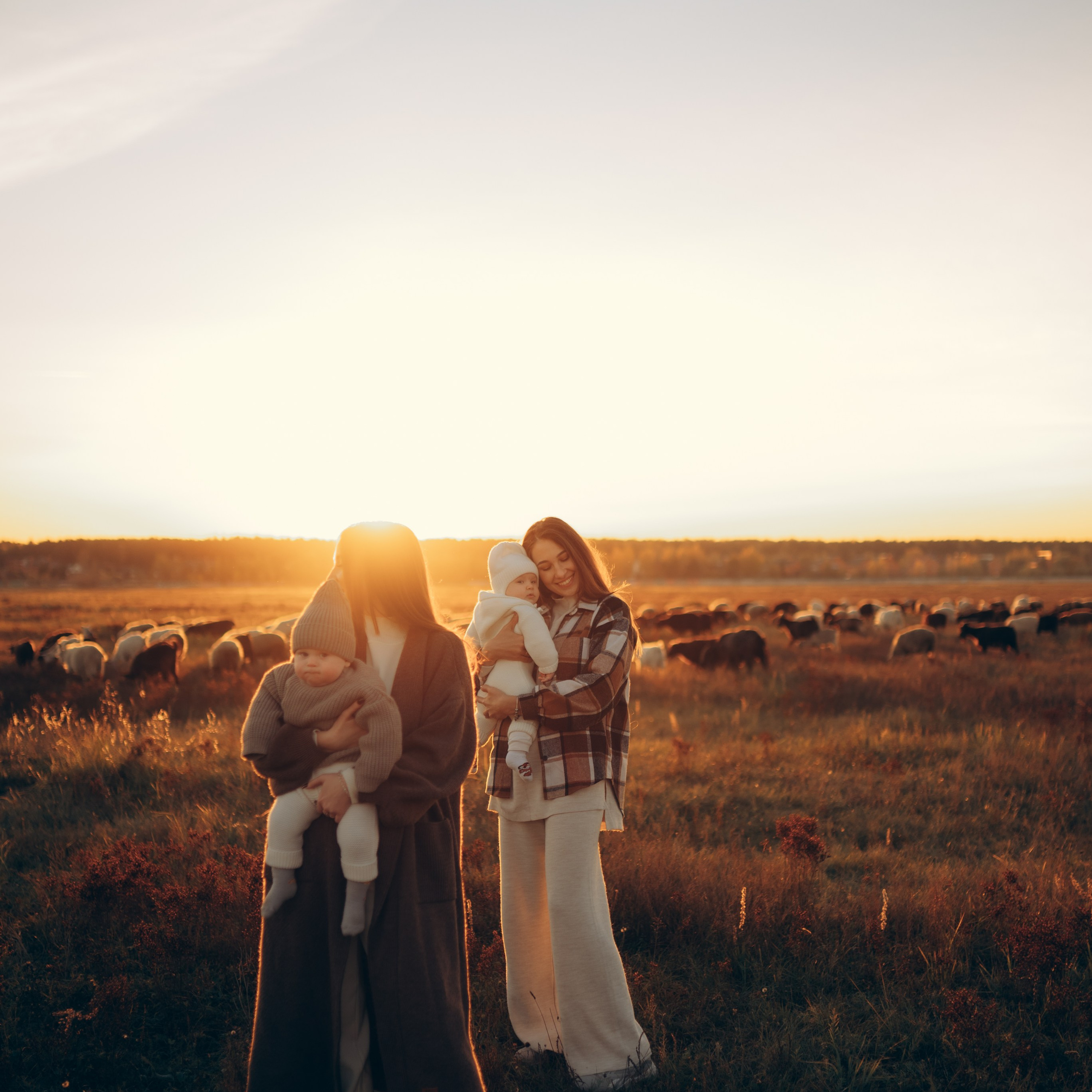 Встреча заката