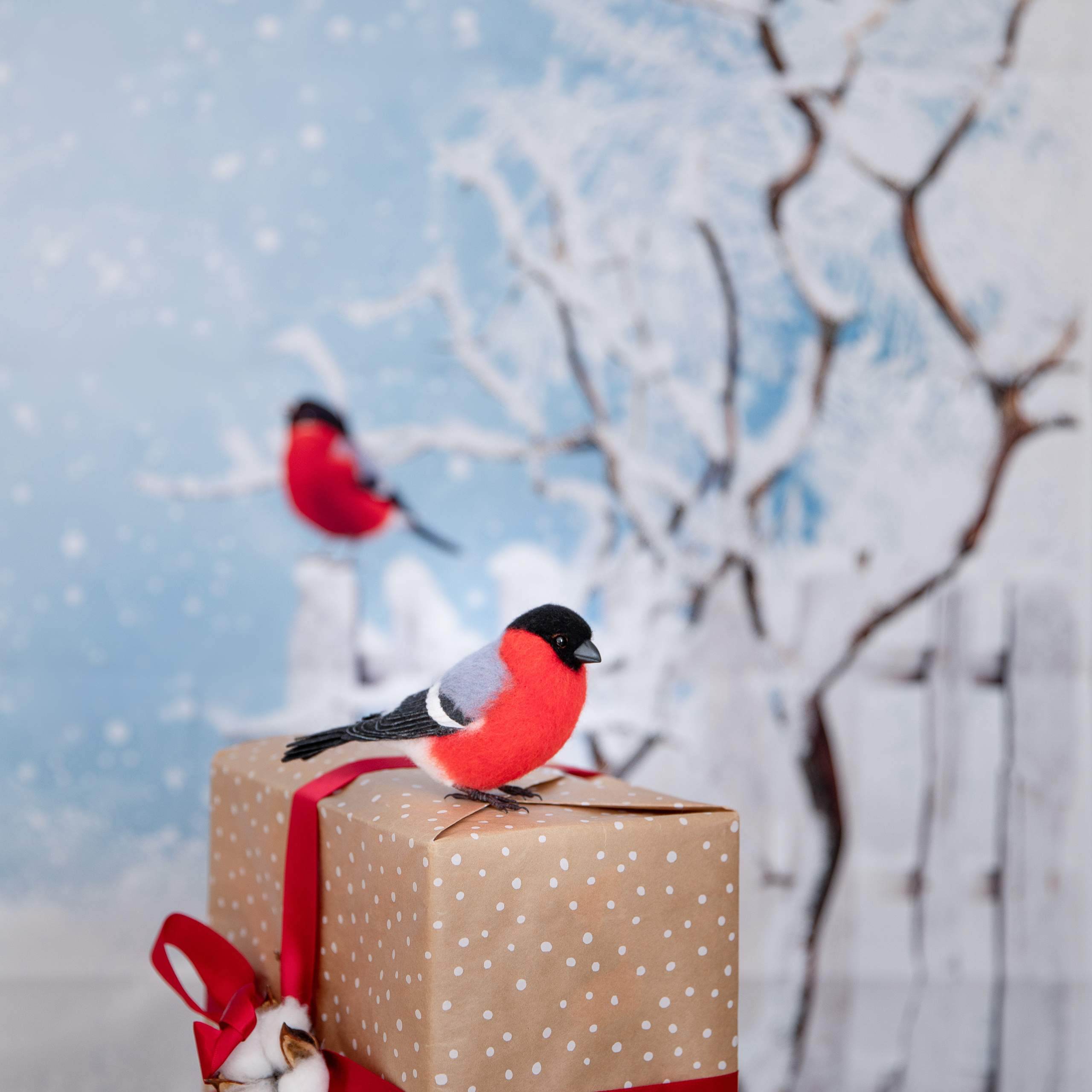 Отзывы. Семейный и детский фотограф София Шарабурко, Томская область