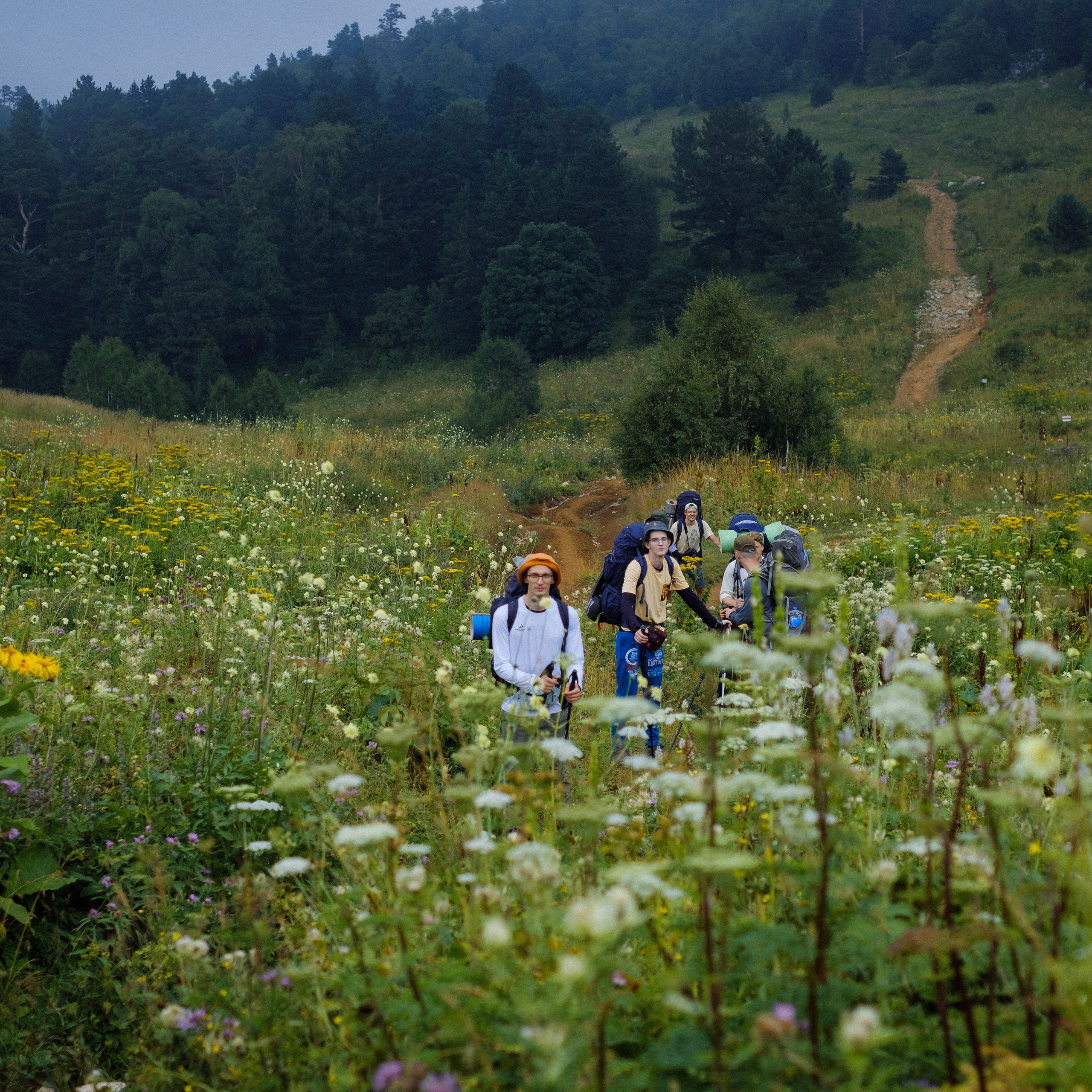 Путешествия