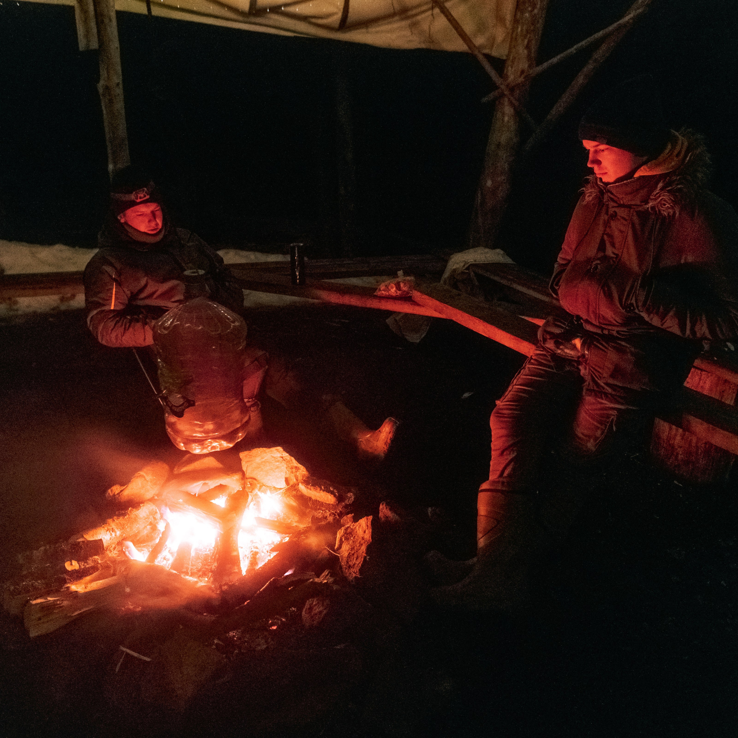 Лес и походы