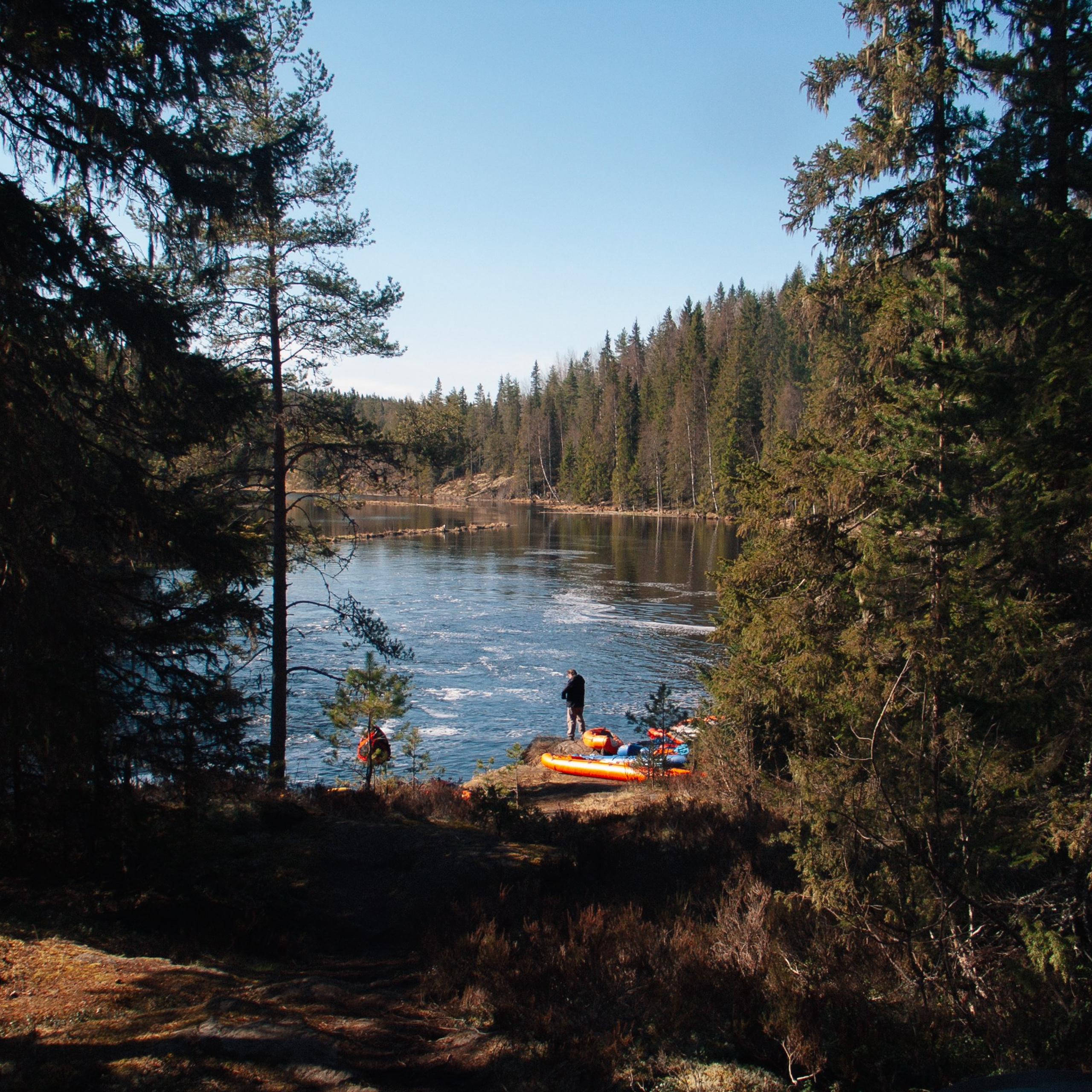 Лес и походы