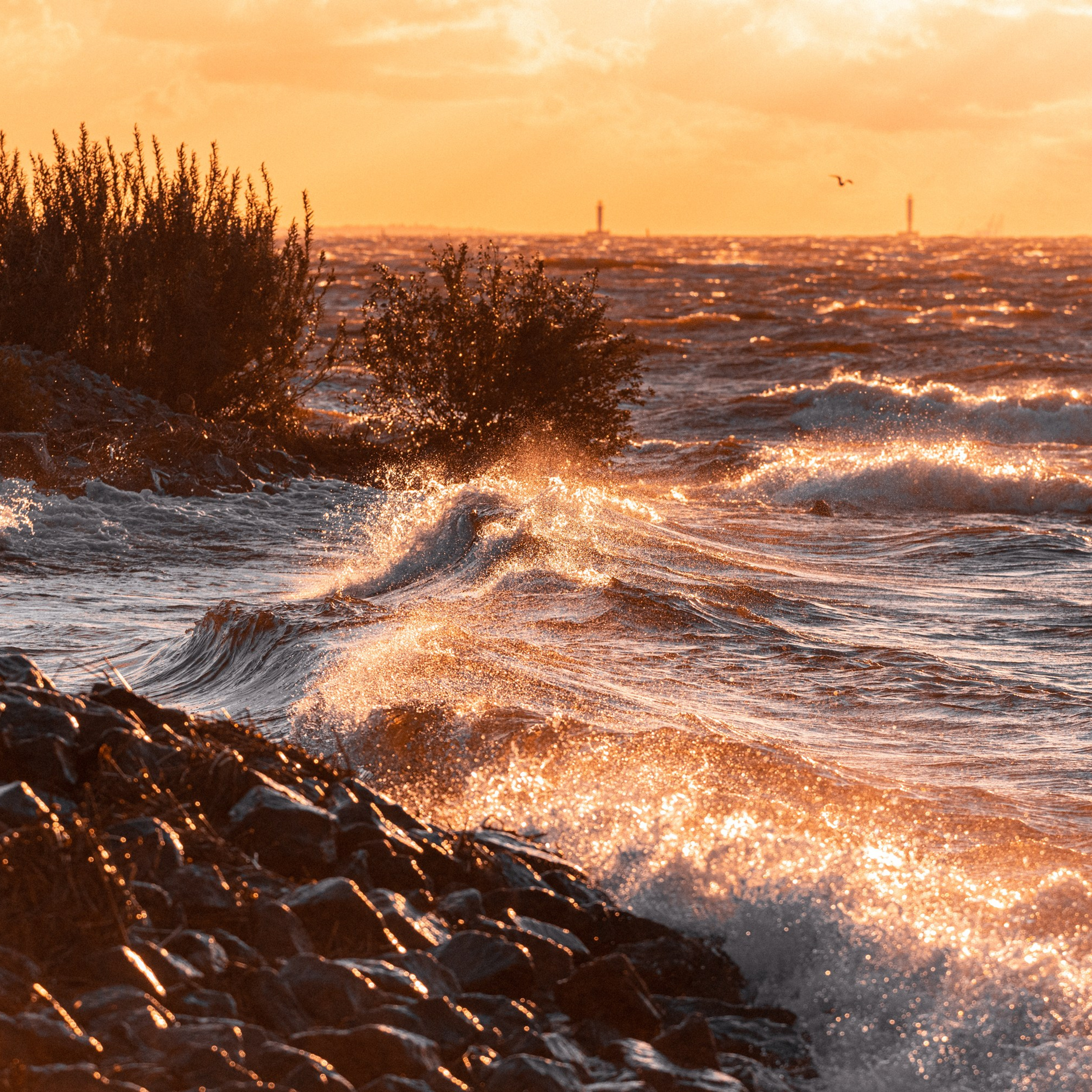 Ленинградская область