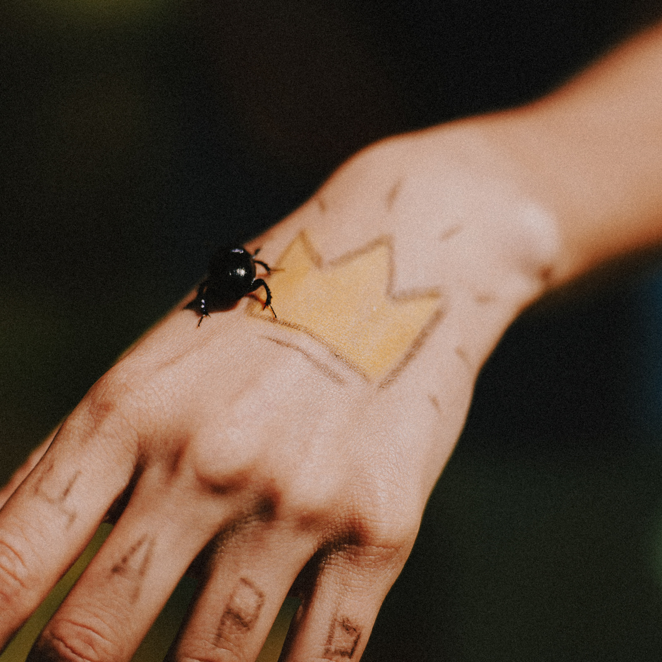 /РЕПОРТАЖ/ Велогонка Царь-Грейдер ONE 14.07.2023