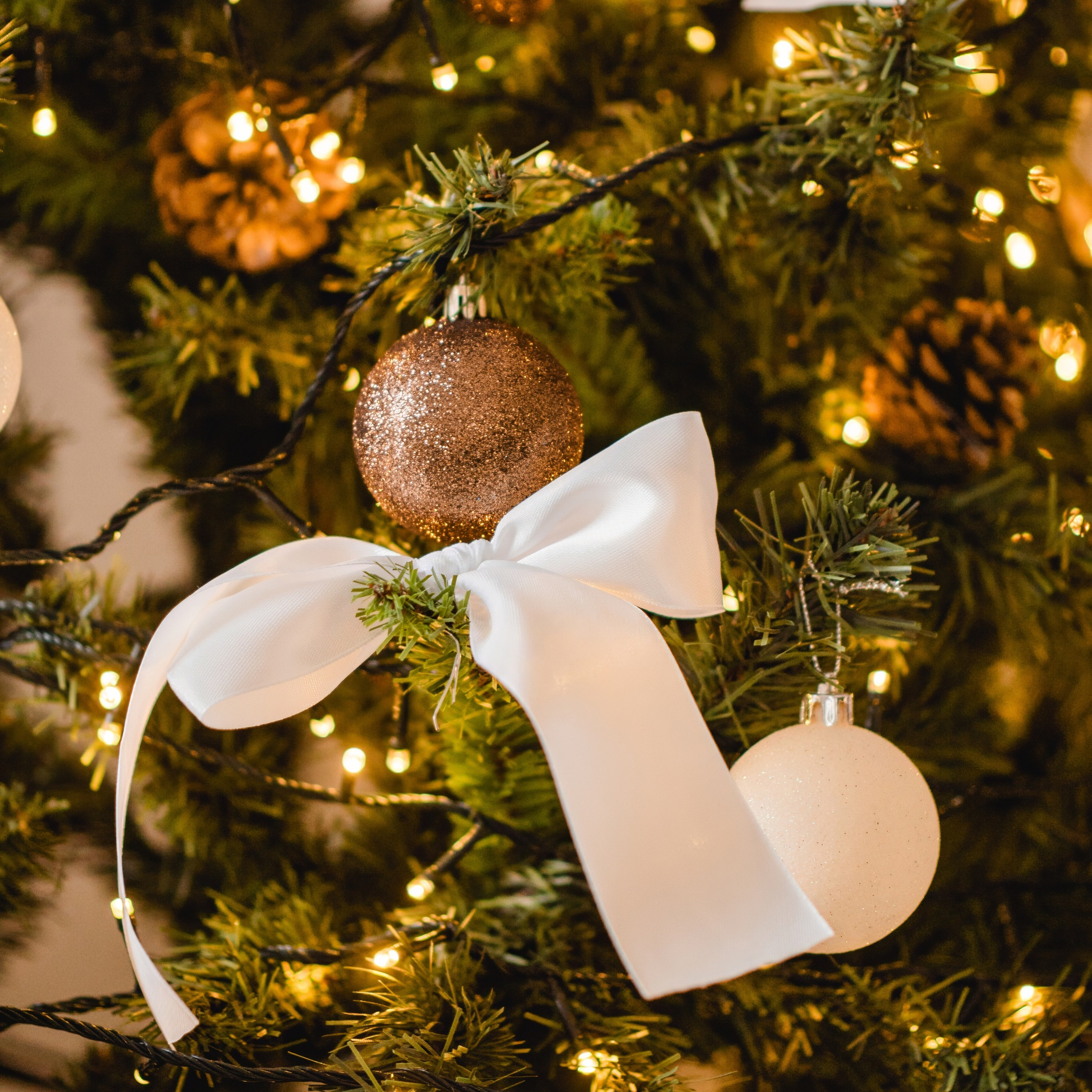 Фотостудия «DreamWood» Во Владимире