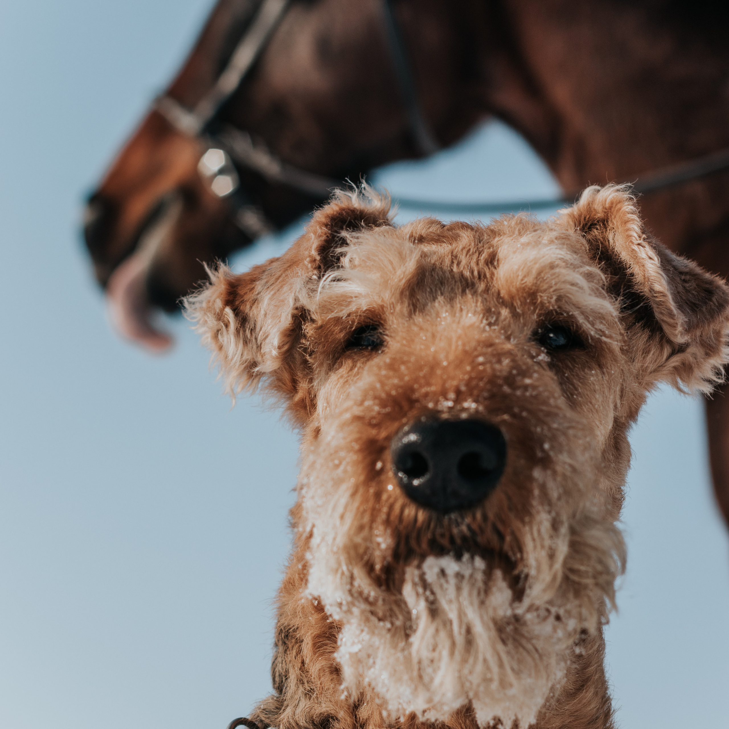 Отзывы. Фотограф в Ульяновске