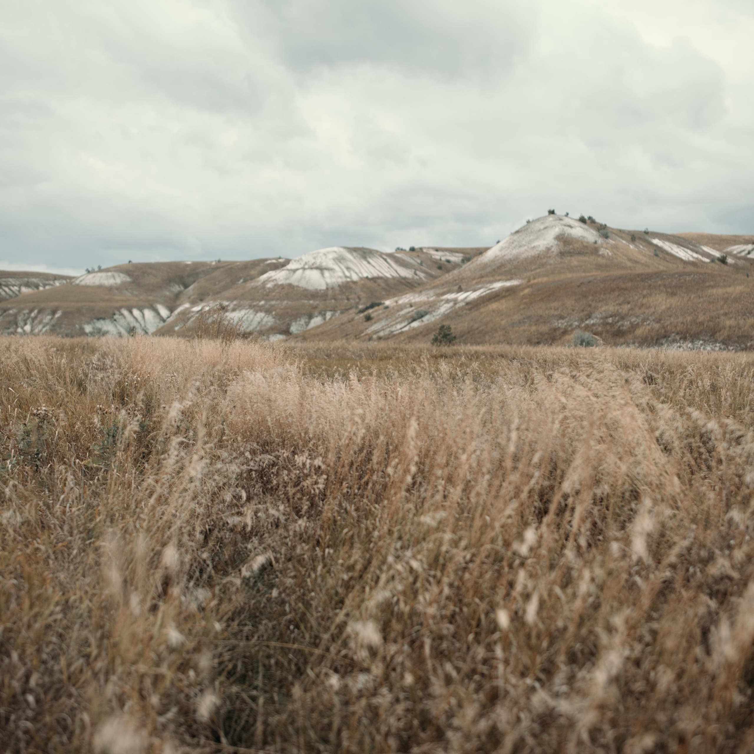 Отзывы. Фотограф в Ульяновске