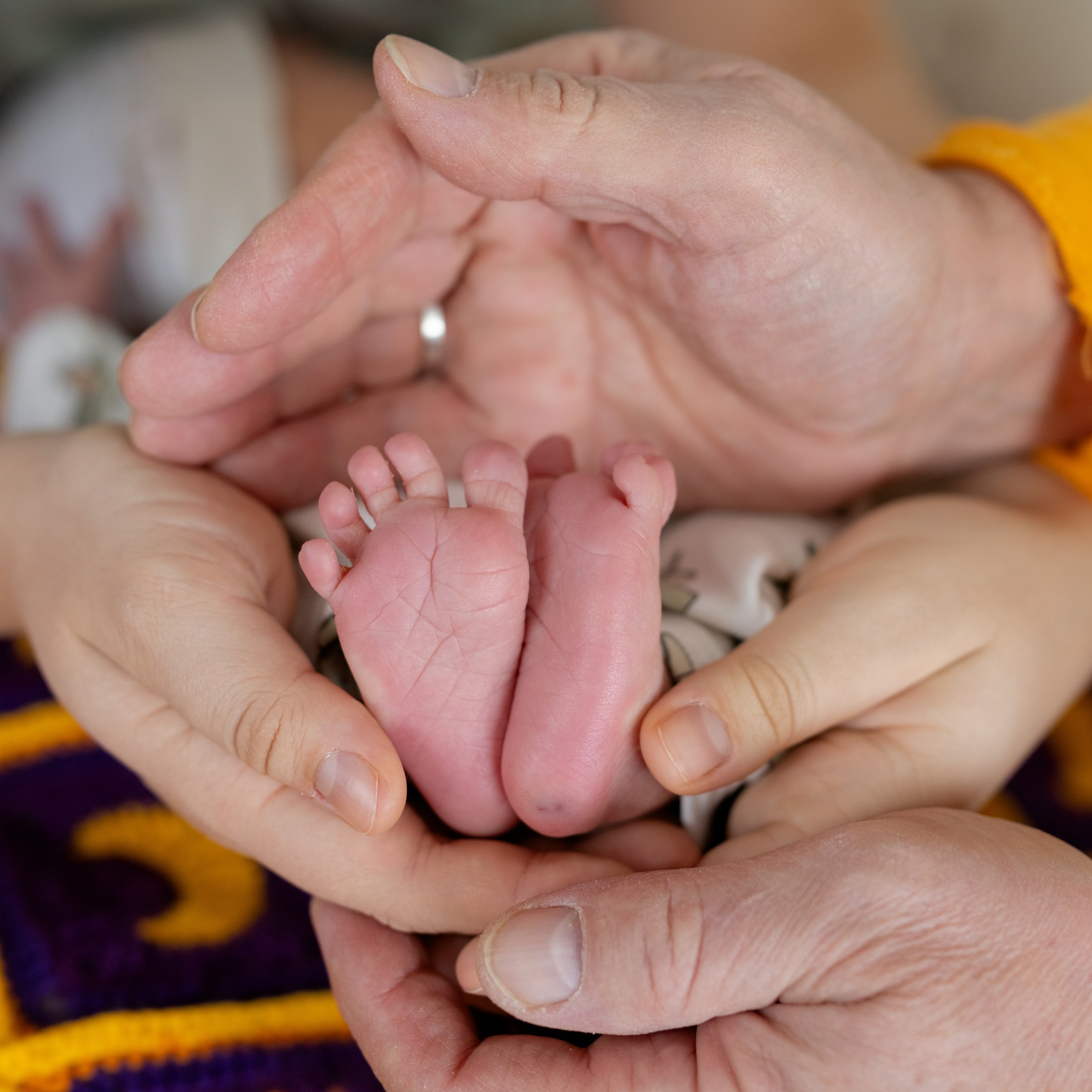 Отзывы. Фотограф в роддоме Сестрорецком г. Санкт-Петербург Банасиковская Ксения