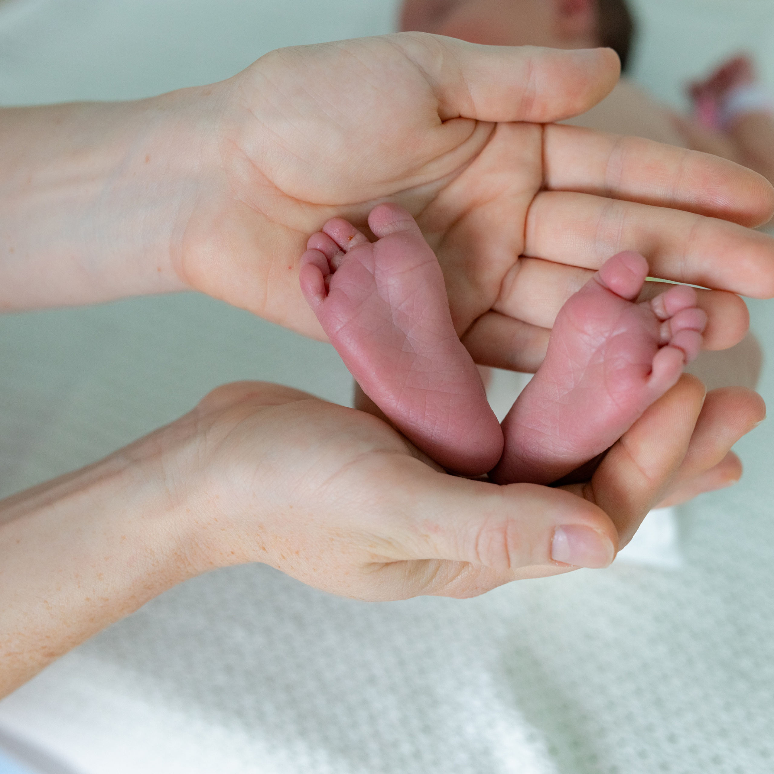 Отзывы. Фотограф в роддоме Сестрорецком г. Санкт-Петербург Банасиковская Ксения