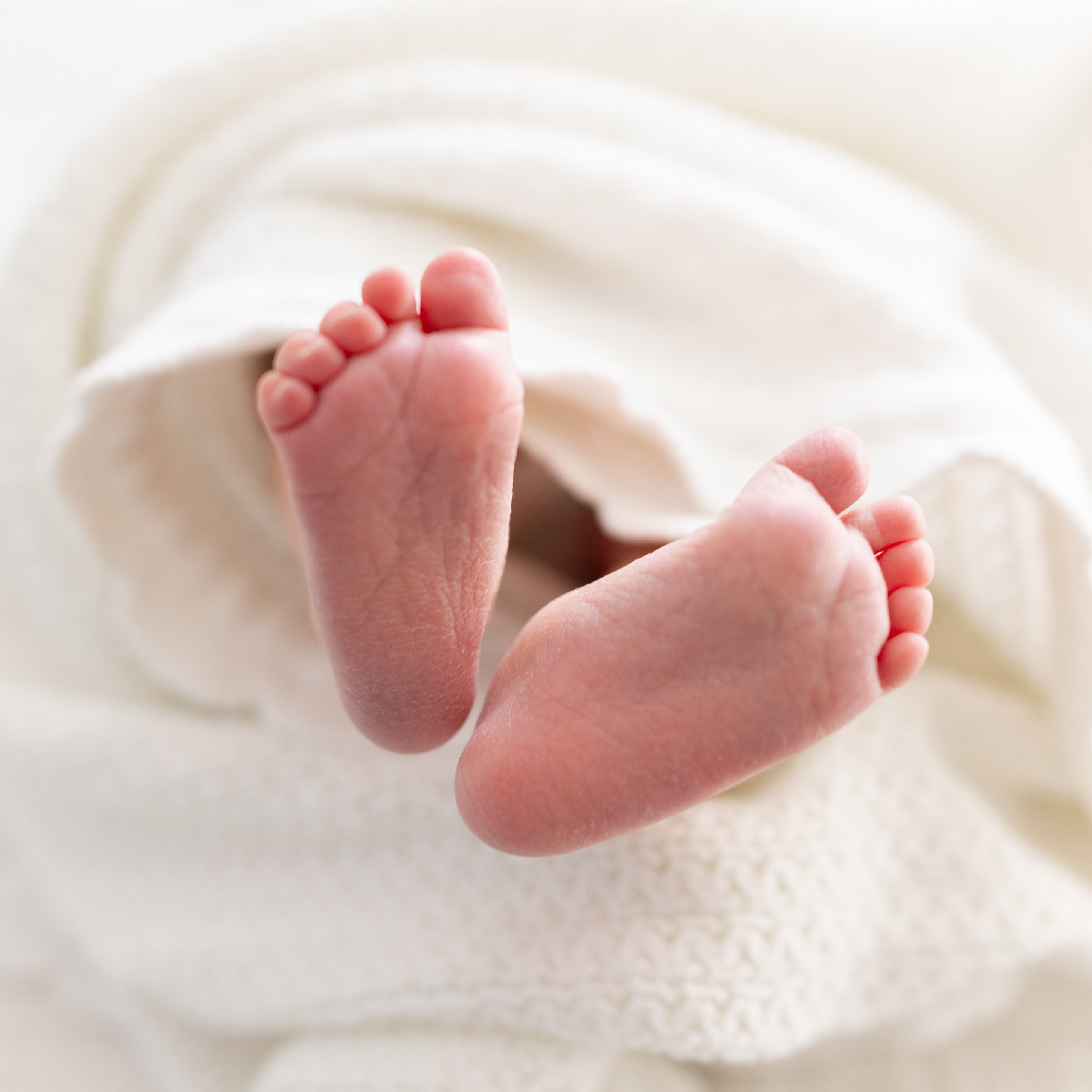 Отзывы. Фотограф в роддоме Сестрорецком г. Санкт-Петербург Банасиковская Ксения