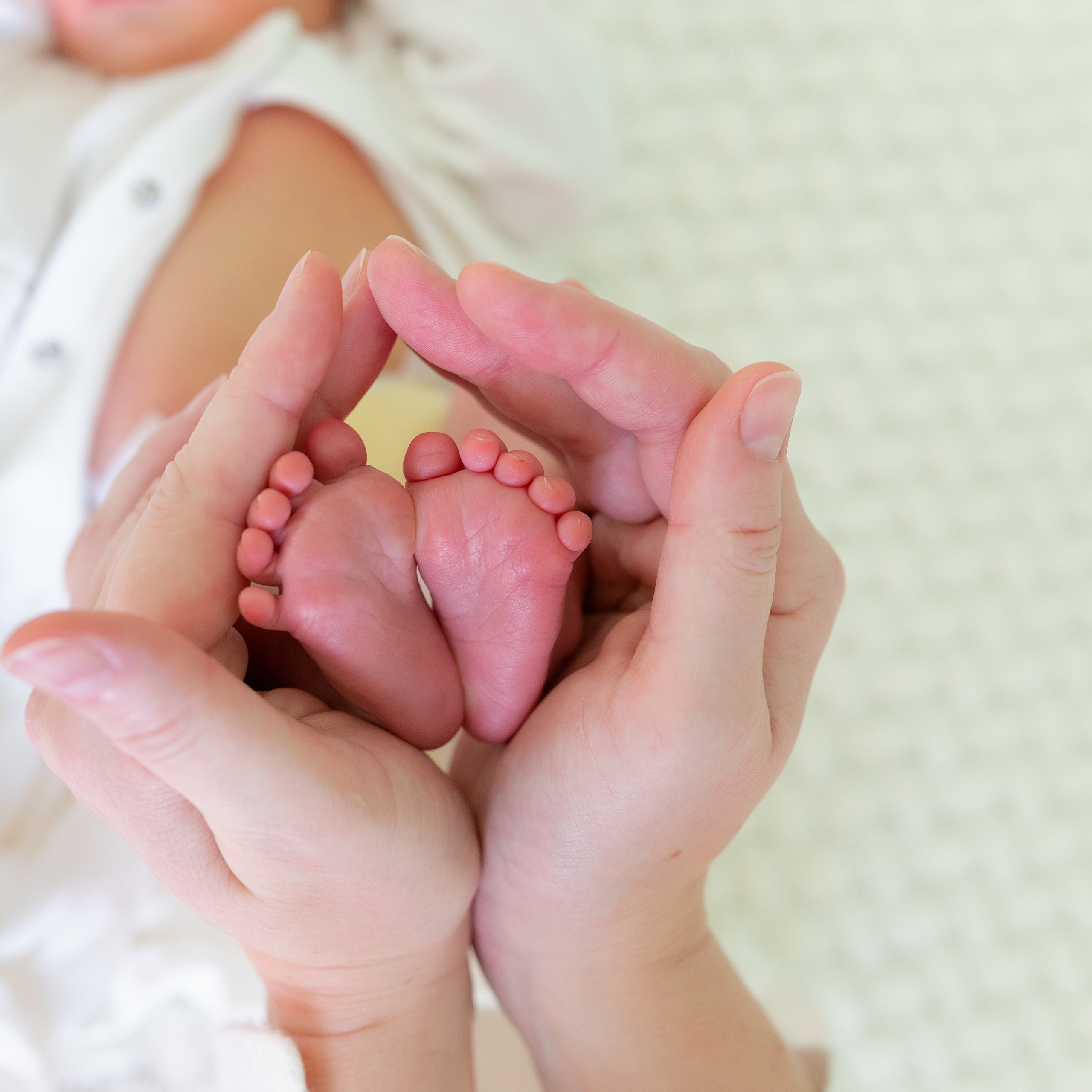 Отзывы. Фотограф в роддоме Сестрорецком г. Санкт-Петербург Банасиковская Ксения