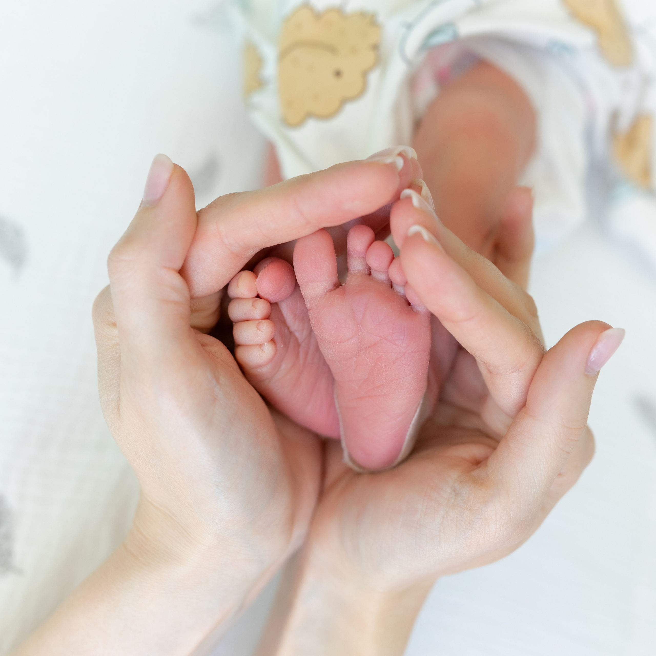 Отзывы. Фотограф в роддоме Сестрорецком г. Санкт-Петербург Банасиковская Ксения