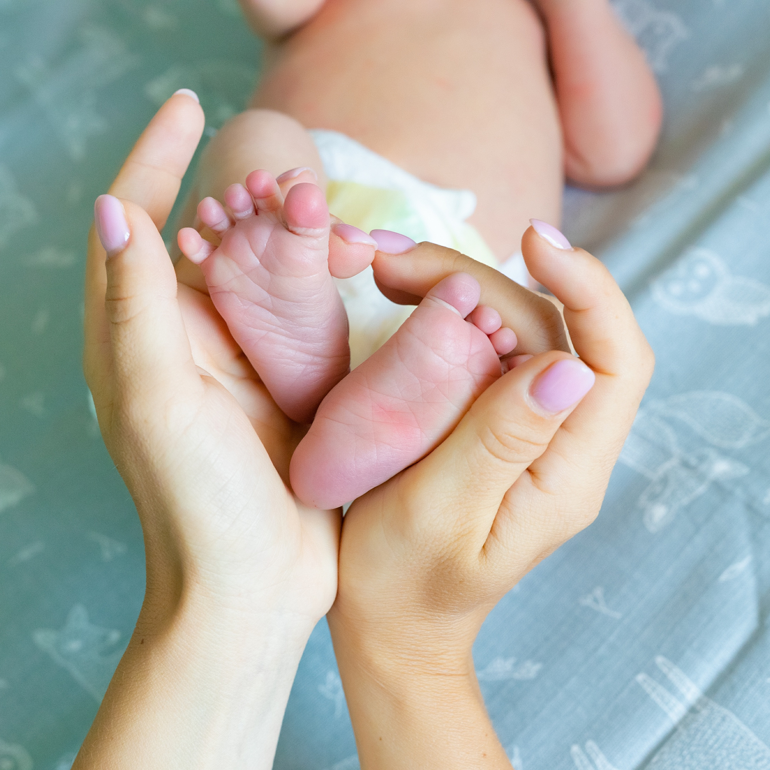 Отзывы. Фотограф в роддоме Сестрорецком г. Санкт-Петербург Банасиковская Ксения