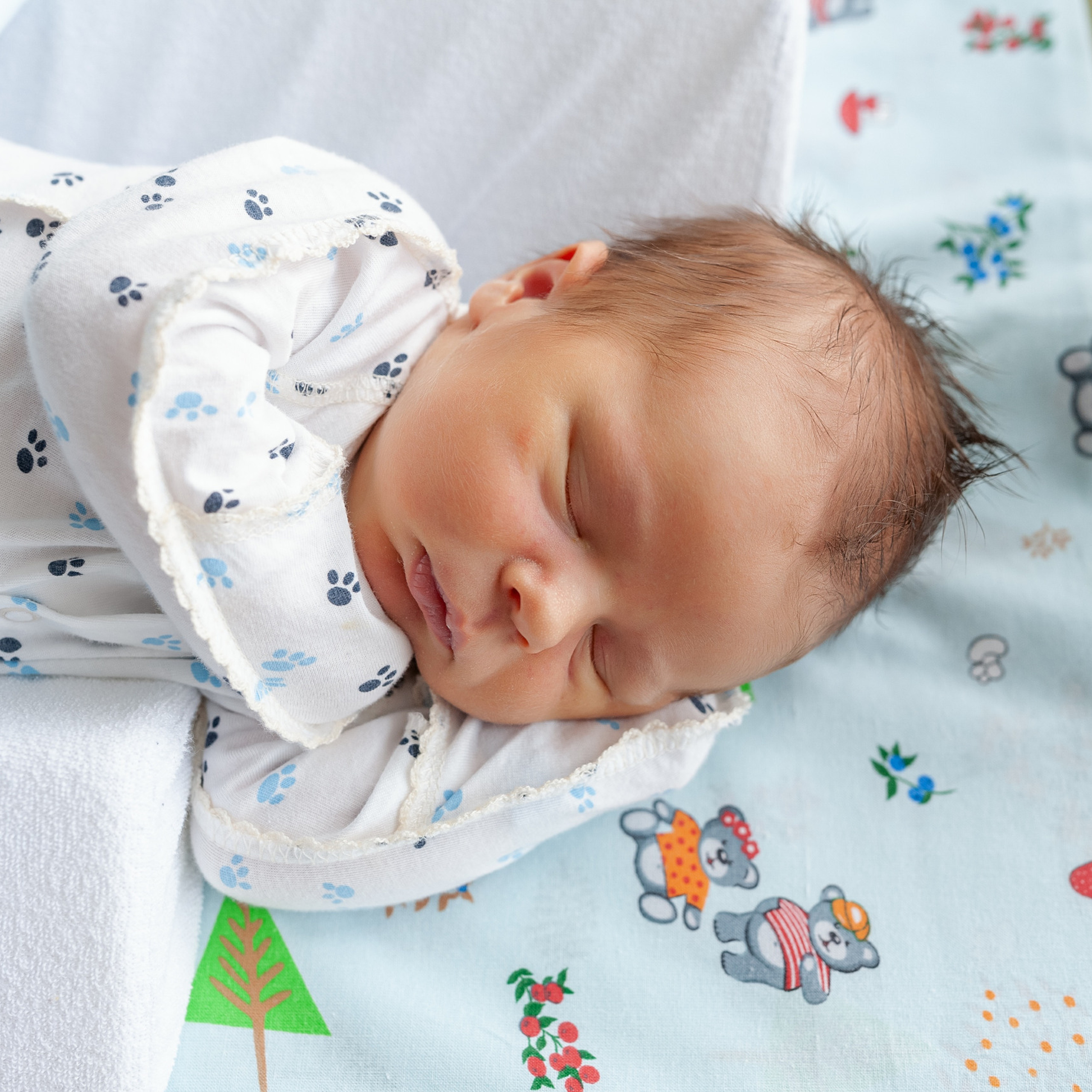 Отзывы. Фотограф в роддоме Сестрорецком г. Санкт-Петербург Банасиковская Ксения