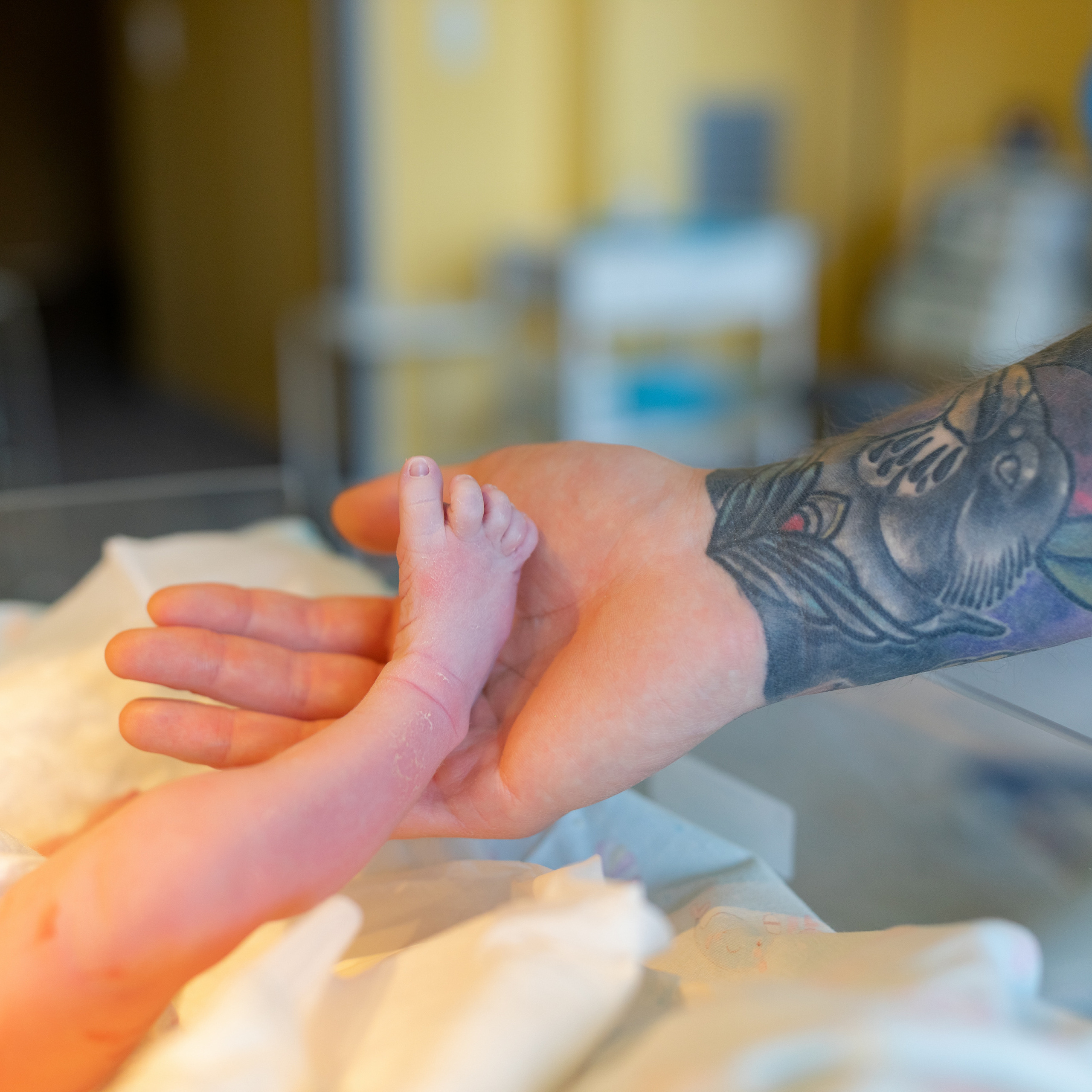 Отзывы. Фотограф в роддоме Сестрорецком г. Санкт-Петербург Банасиковская Ксения