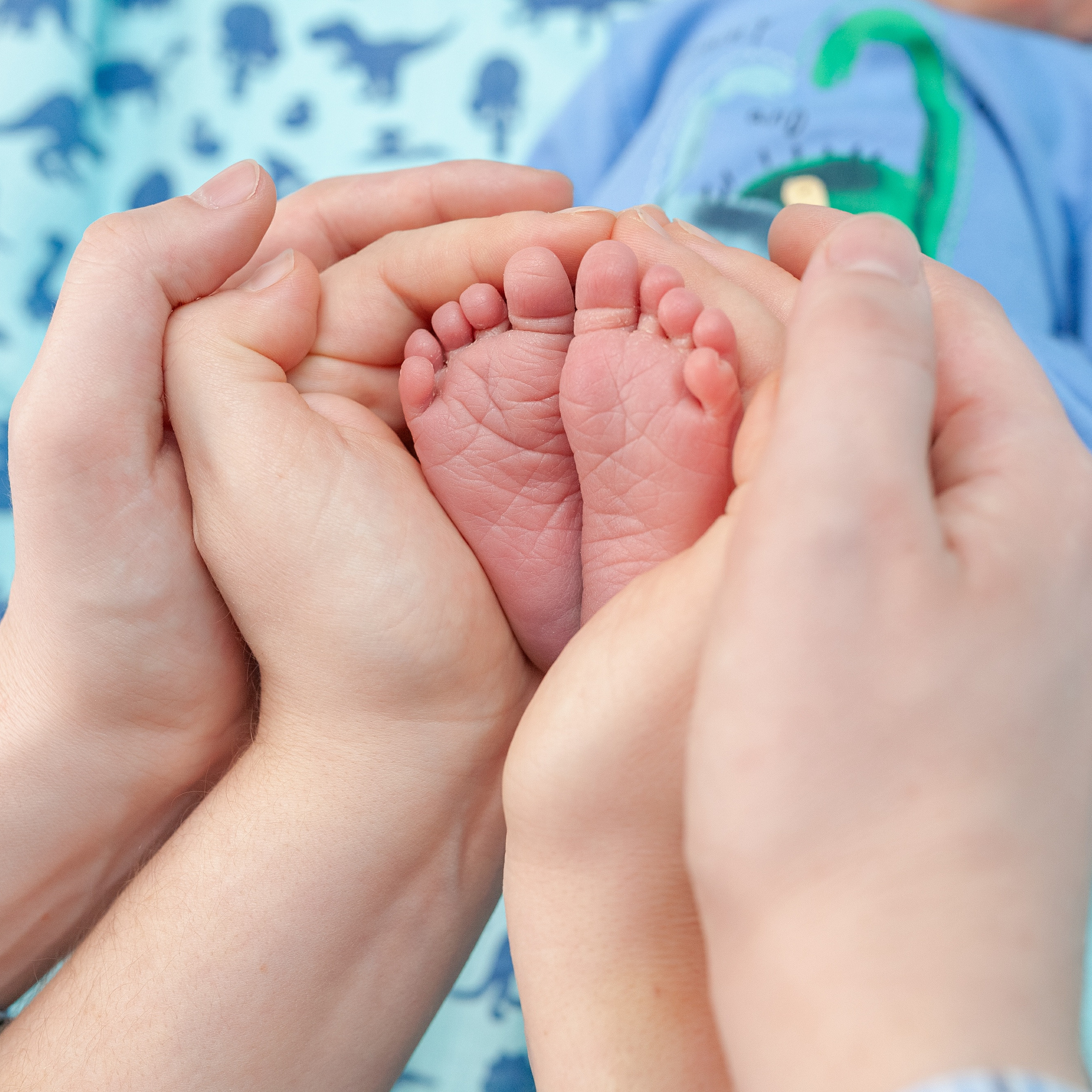 Отзывы. Фотограф в роддоме Сестрорецком г. Санкт-Петербург Банасиковская Ксения