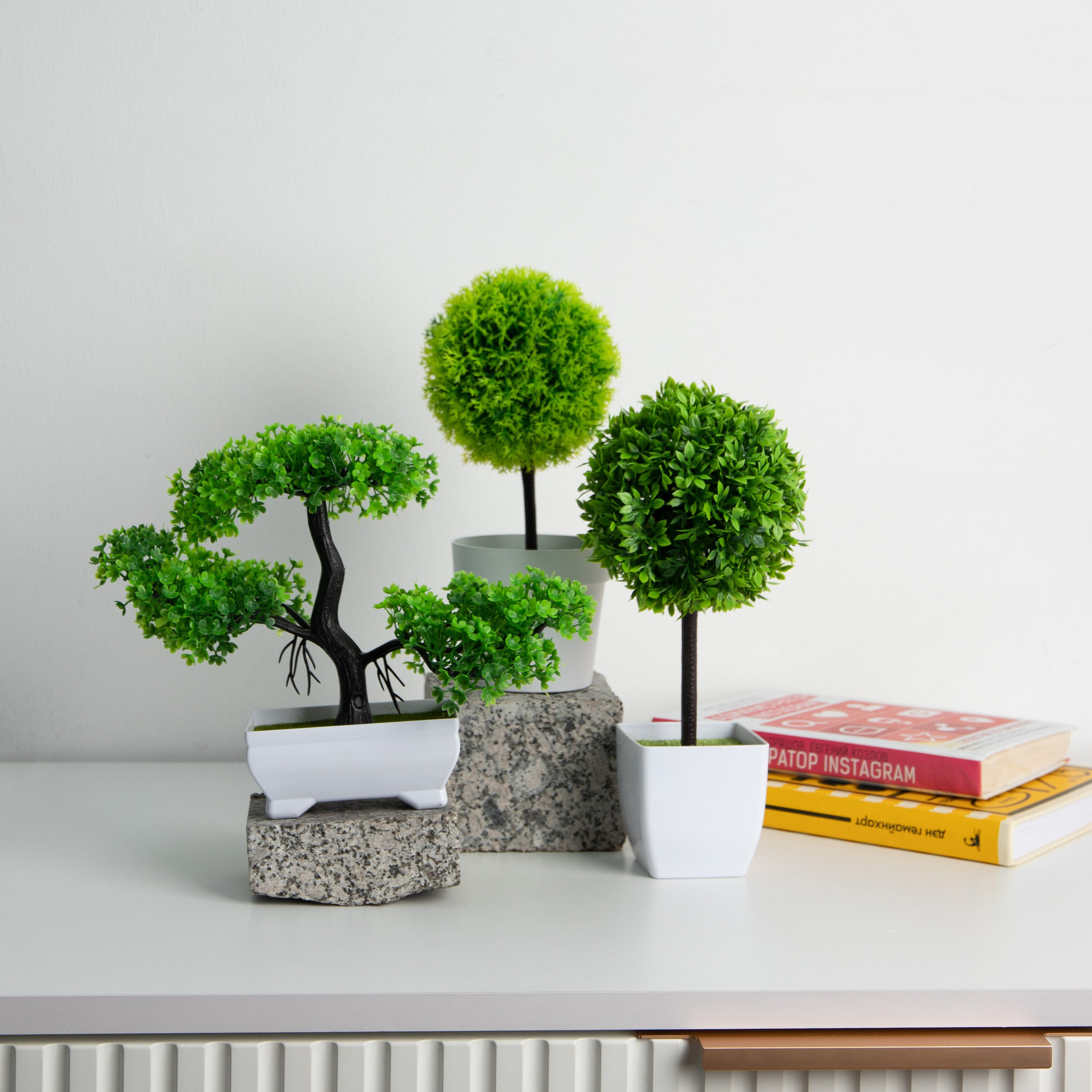 Декоративные деревья