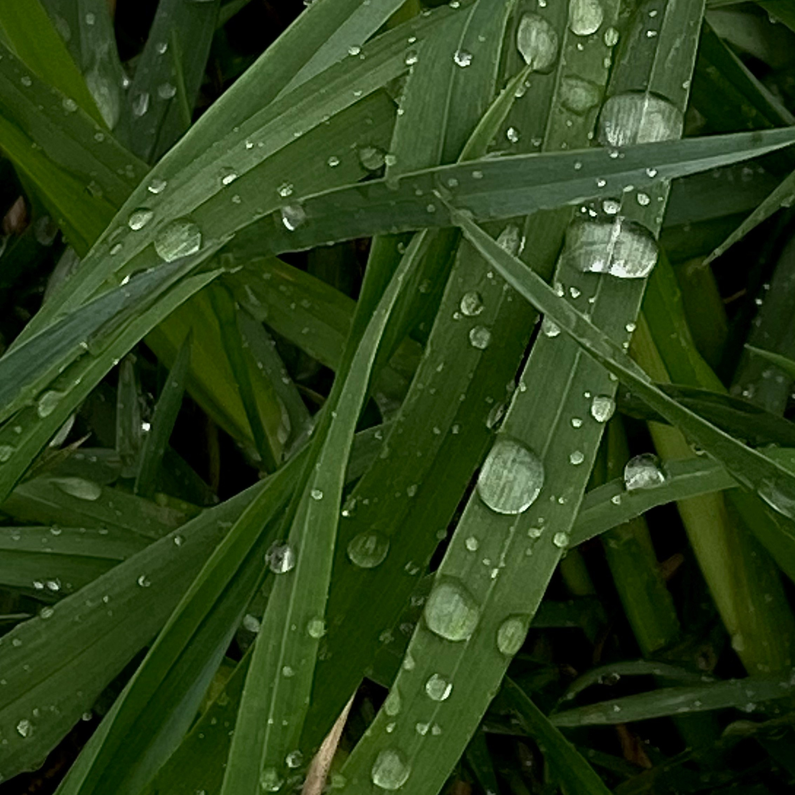 Магия тёмного кадра