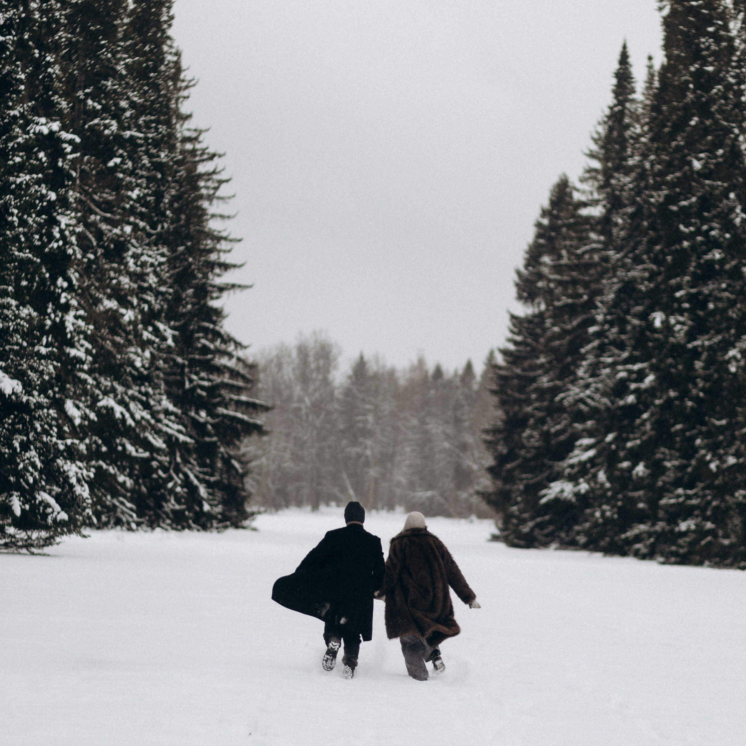 Лиза и Леша