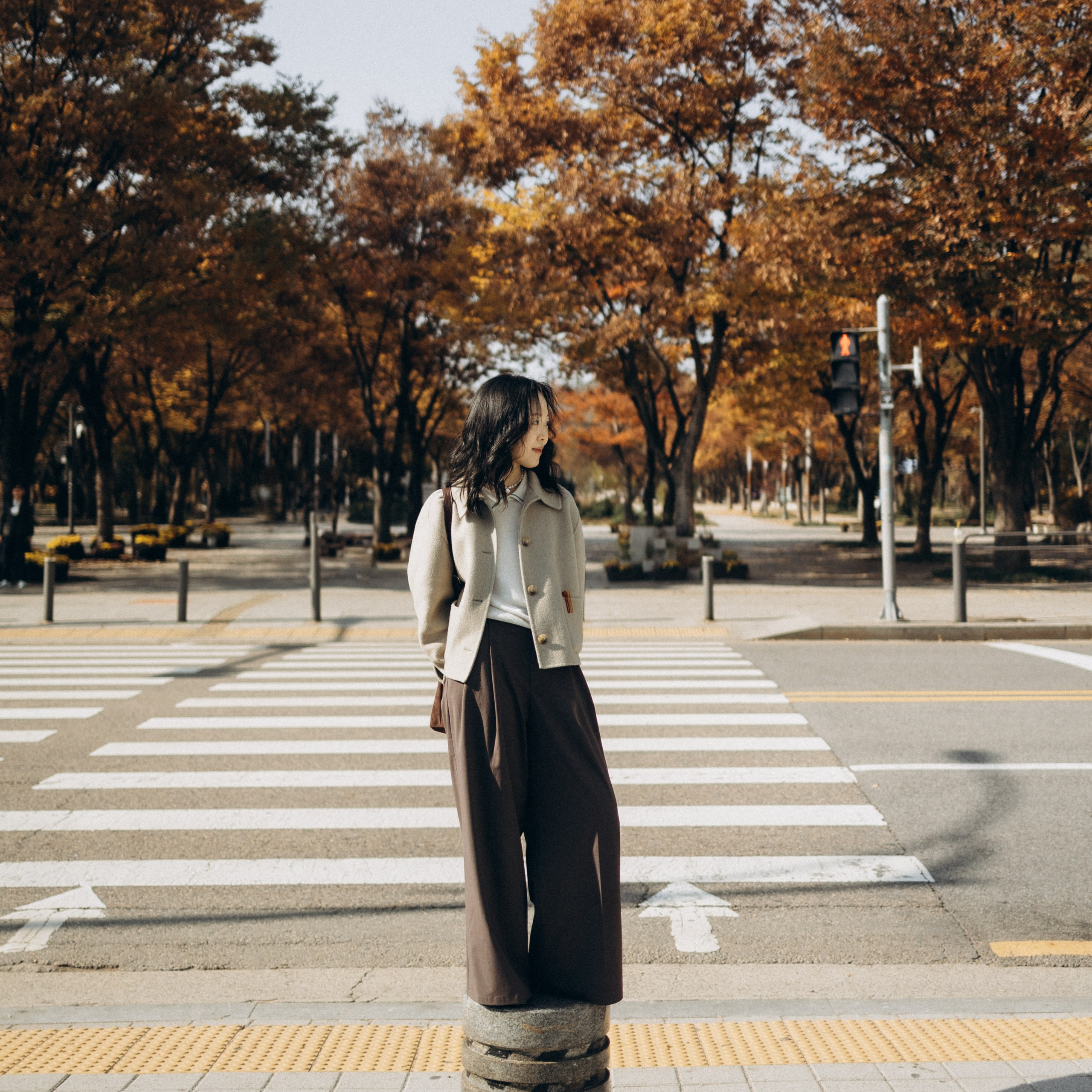 Диша осенняя история🍂