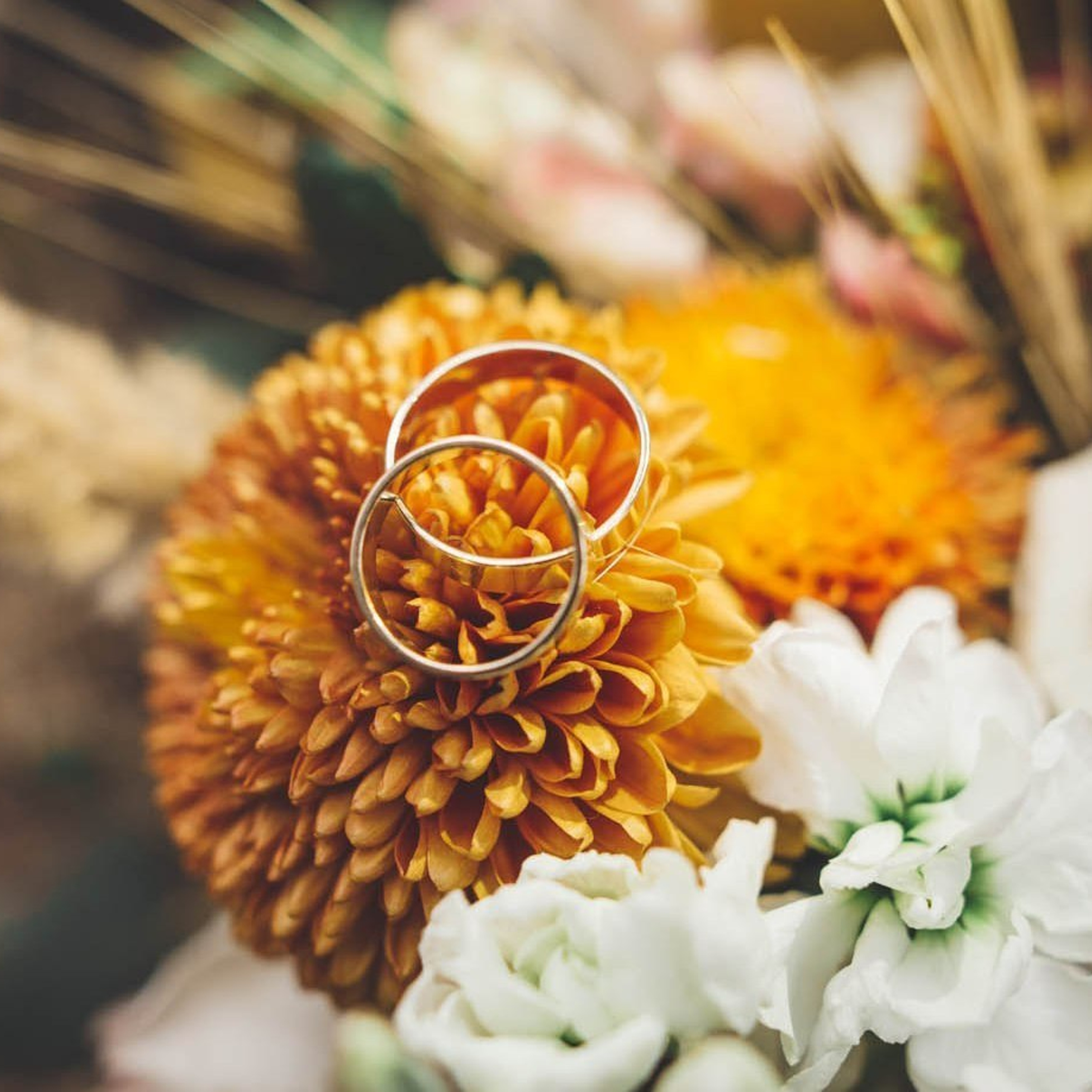 Կարծիքներ. Հարսանեկան լուսանկարչություն Հայաստանում Ադամյանների ընտանիքի կողմից