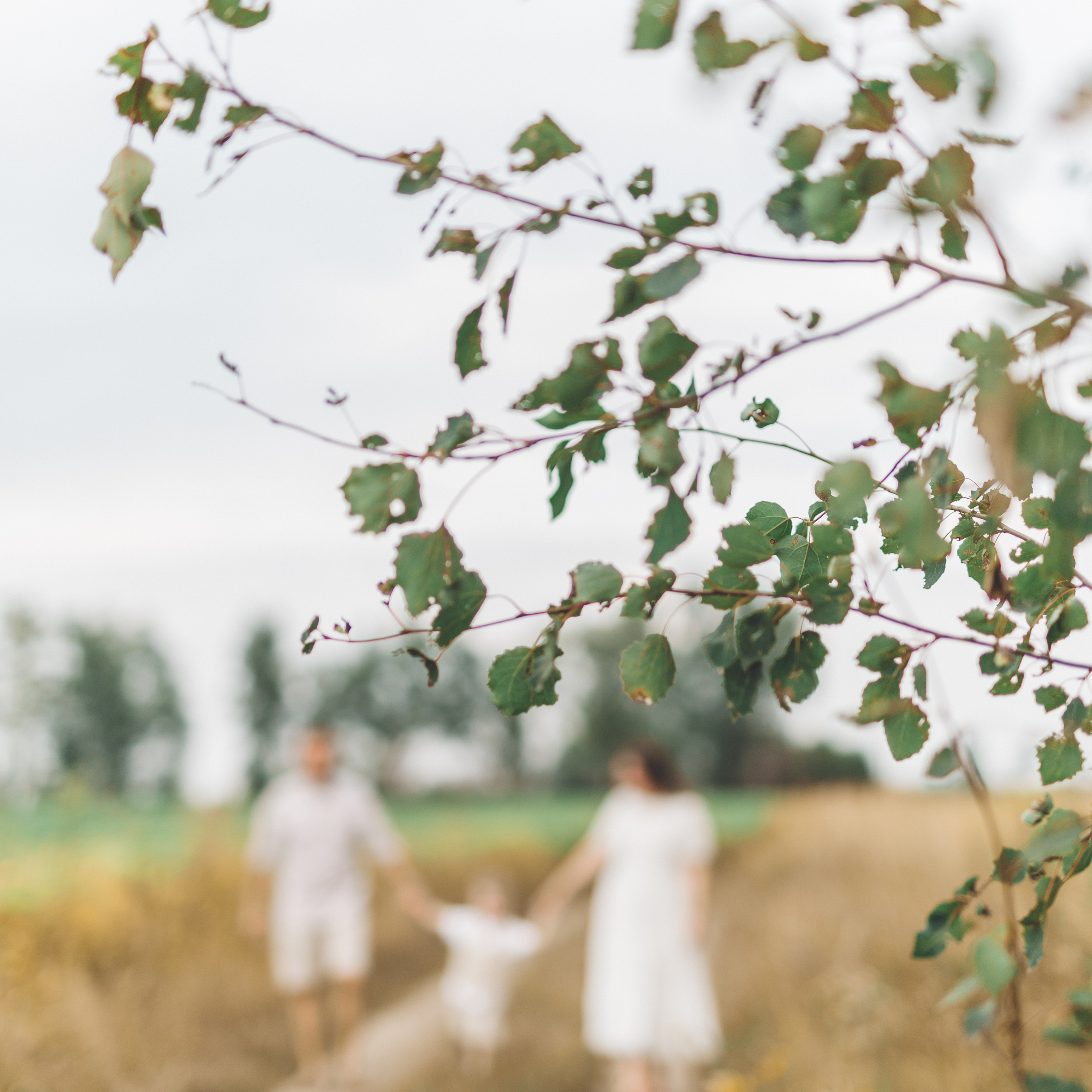 Կարծիքներ. Հարսանեկան լուսանկարչություն Հայաստանում Ադամյանների ընտանիքի կողմից