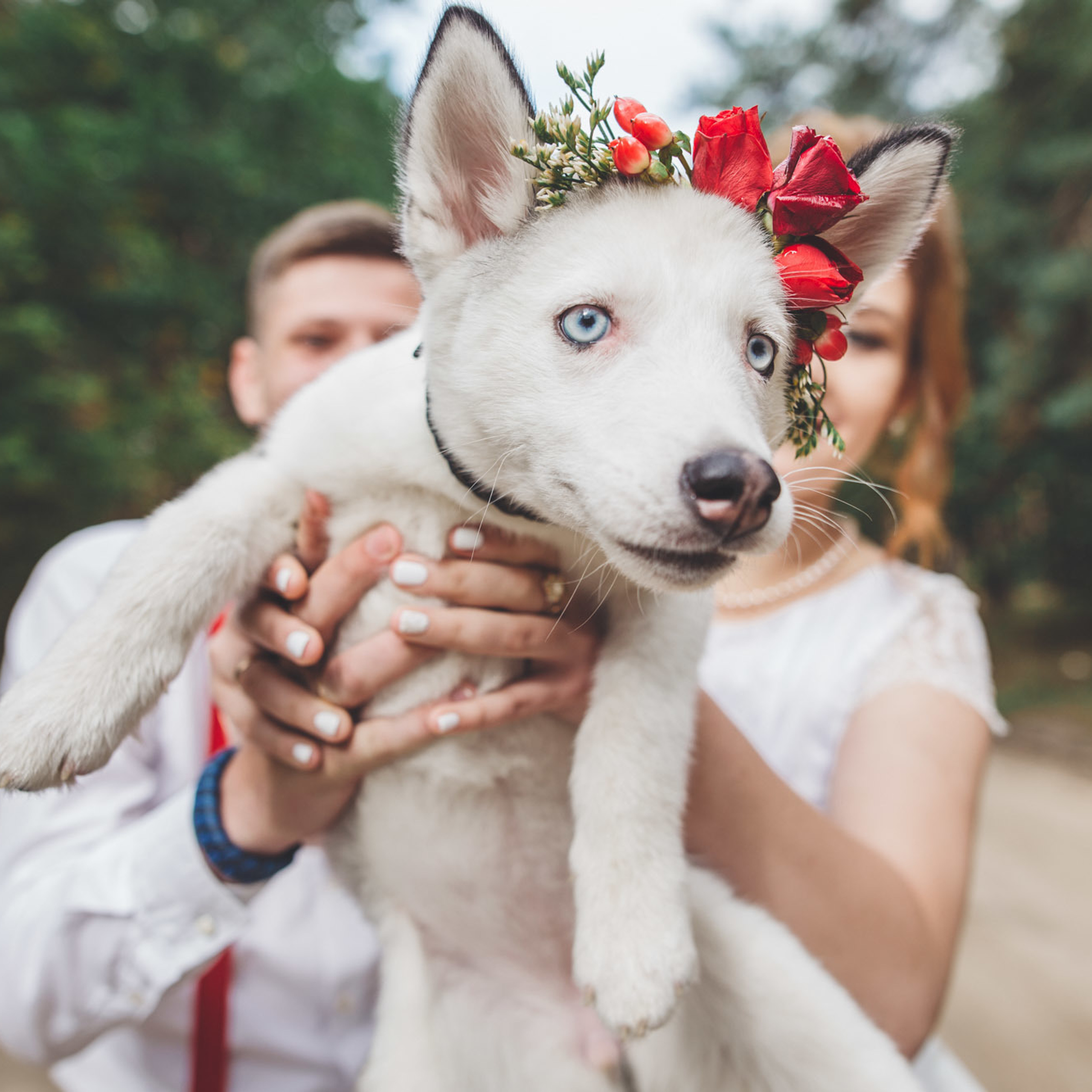 Դարիա և Ալեքսանդր