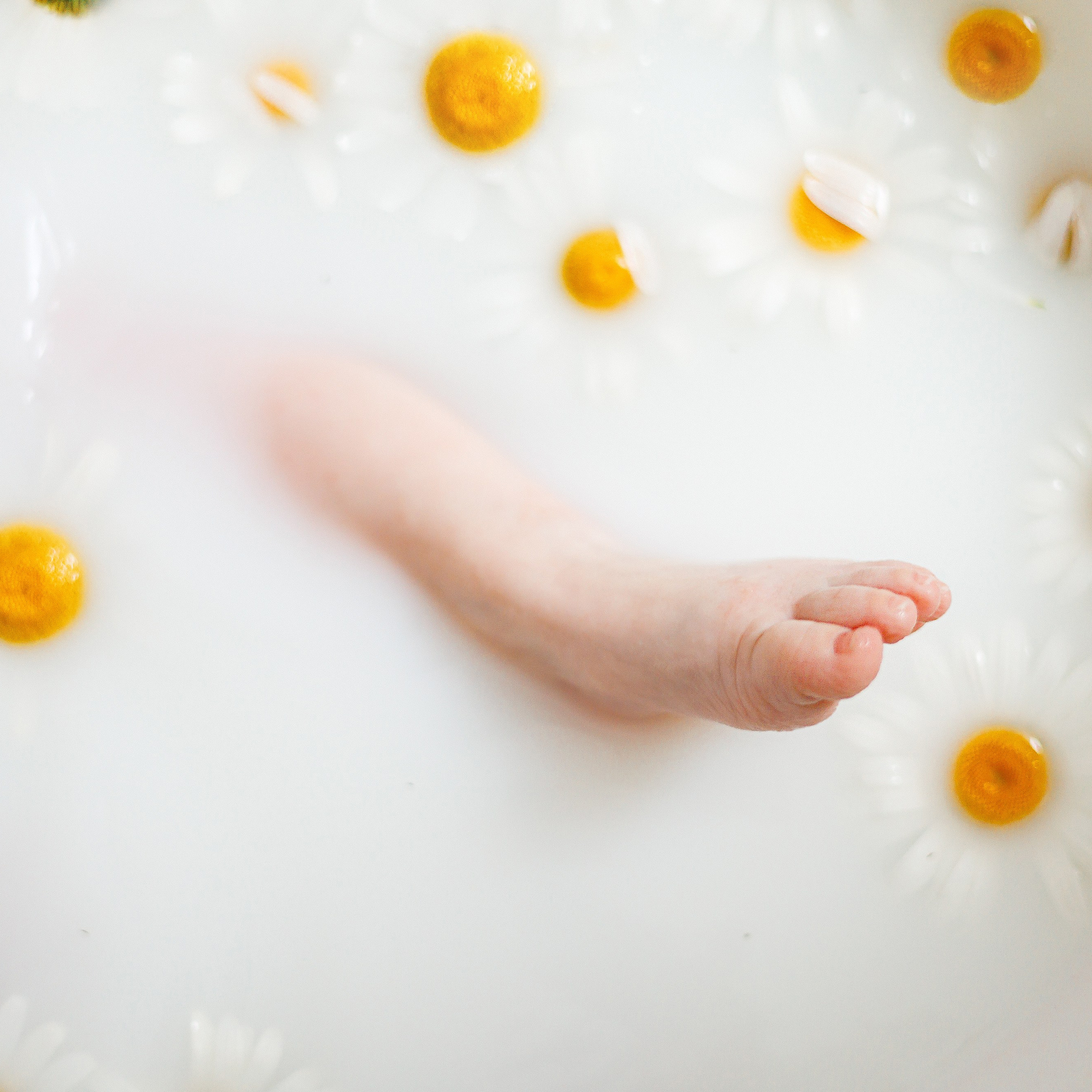 Молочные купания с ромашками. Фотограф новорождённых в Йошкар-Оле Ильмира Сидоркина