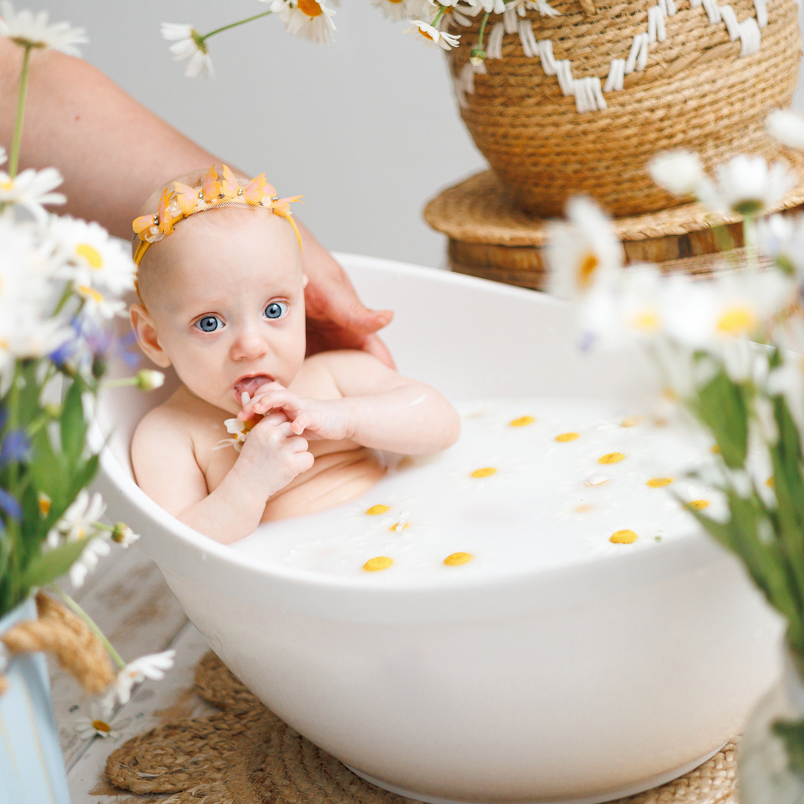 Молочные купания с ромашками. Фотограф новорождённых в Йошкар-Оле Ильмира Сидоркина