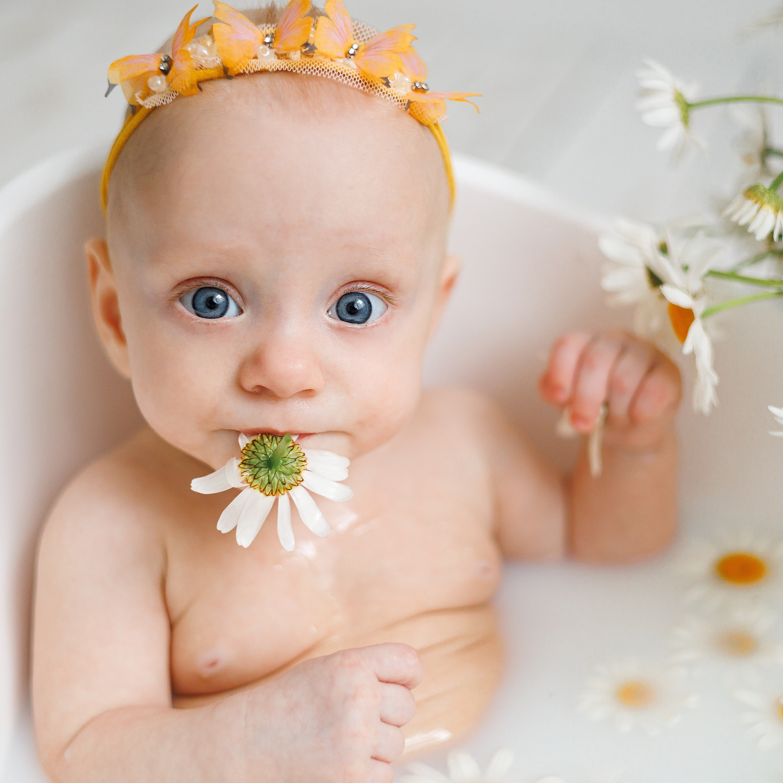 Молочные купания с ромашками. Фотограф новорождённых в Йошкар-Оле Ильмира Сидоркина