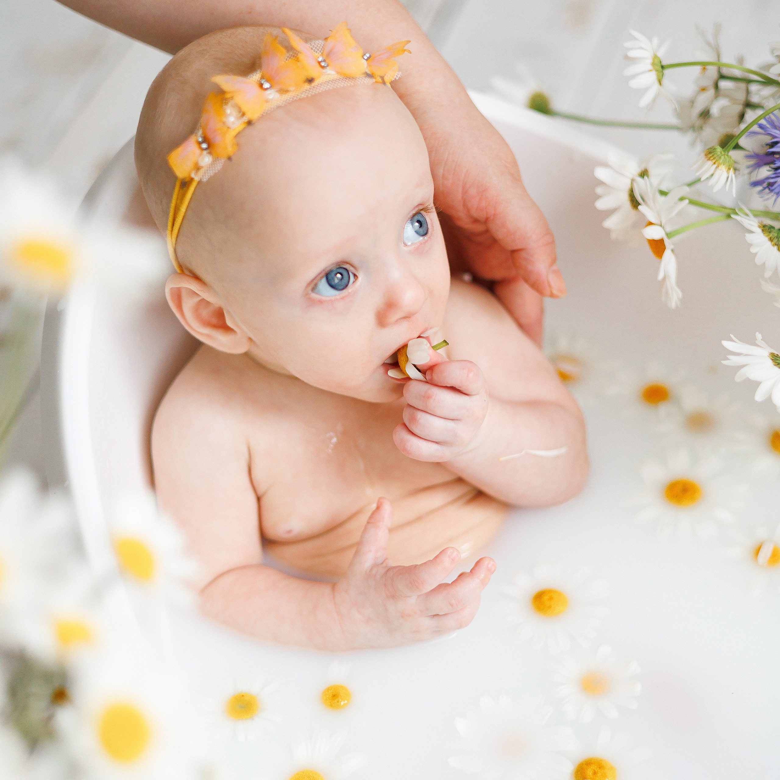 Молочные купания с ромашками. Фотограф новорождённых в Йошкар-Оле Ильмира Сидоркина