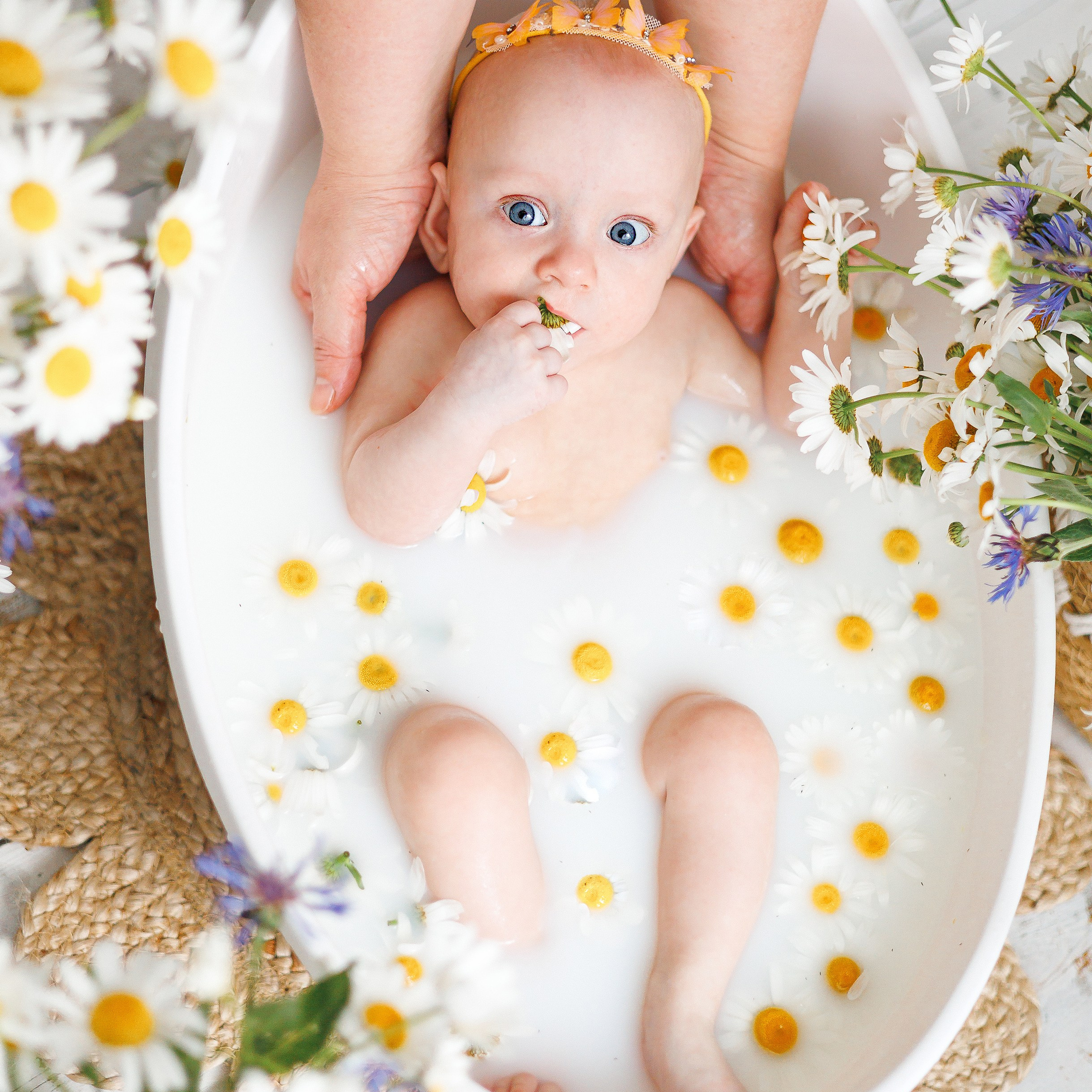 Молочные купания с ромашками. Фотограф новорождённых в Йошкар-Оле Ильмира Сидоркина