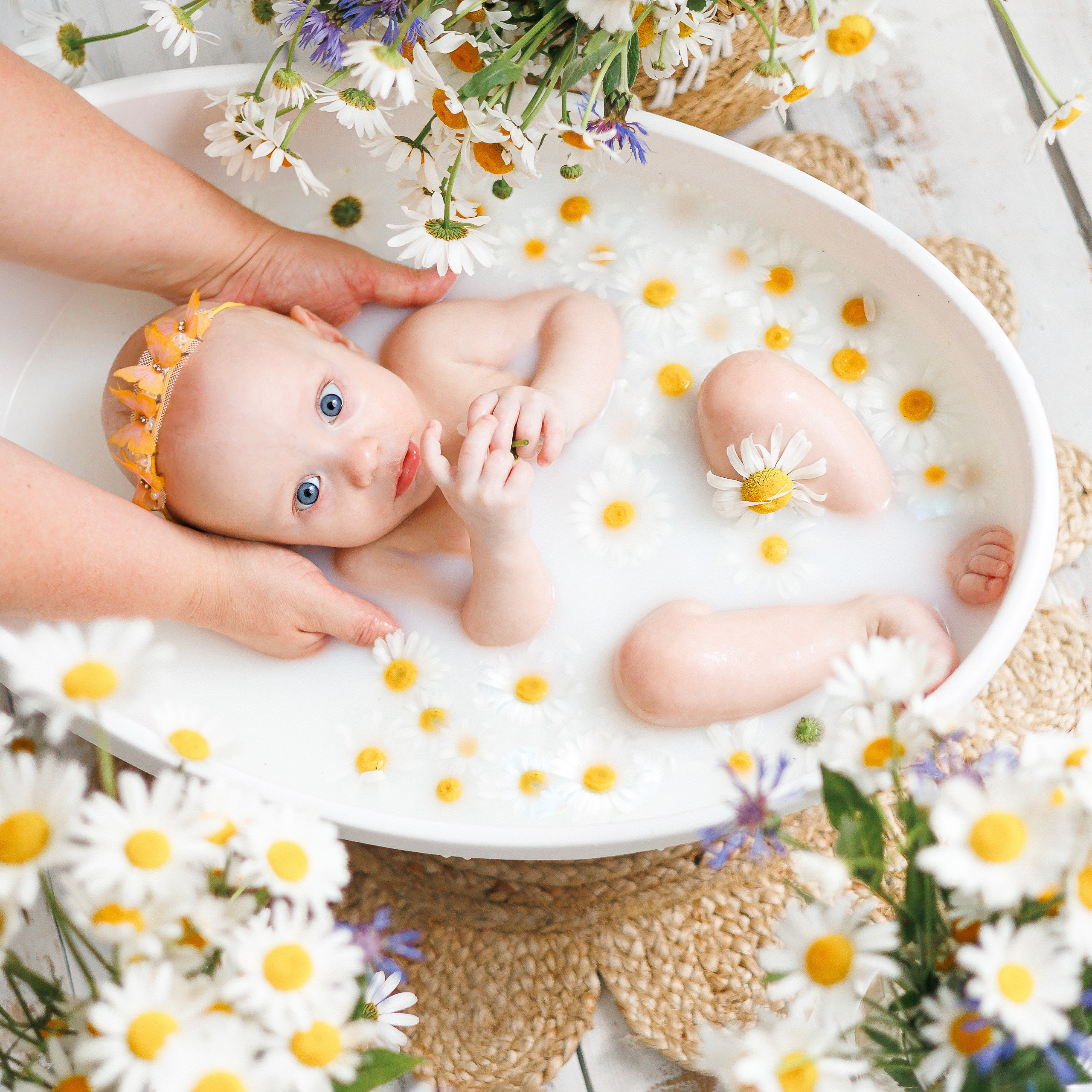 Молочные купания с ромашками. Фотограф новорождённых в Йошкар-Оле Ильмира Сидоркина