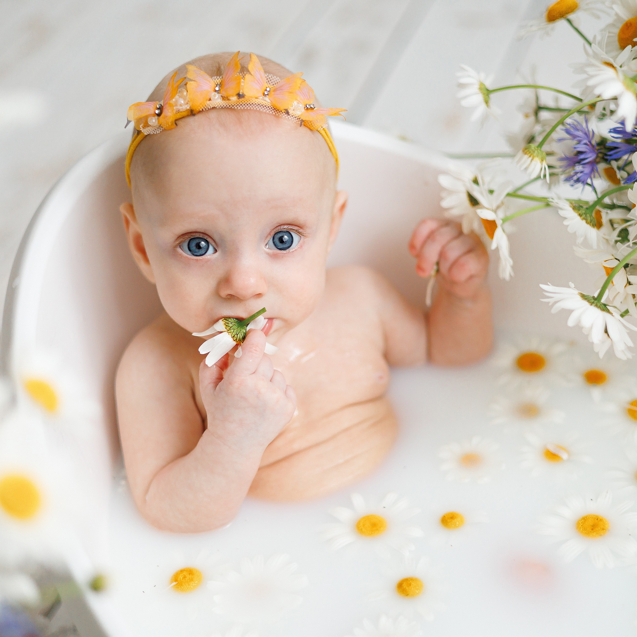 Молочные купания с ромашками. Фотограф новорождённых в Йошкар-Оле Ильмира Сидоркина