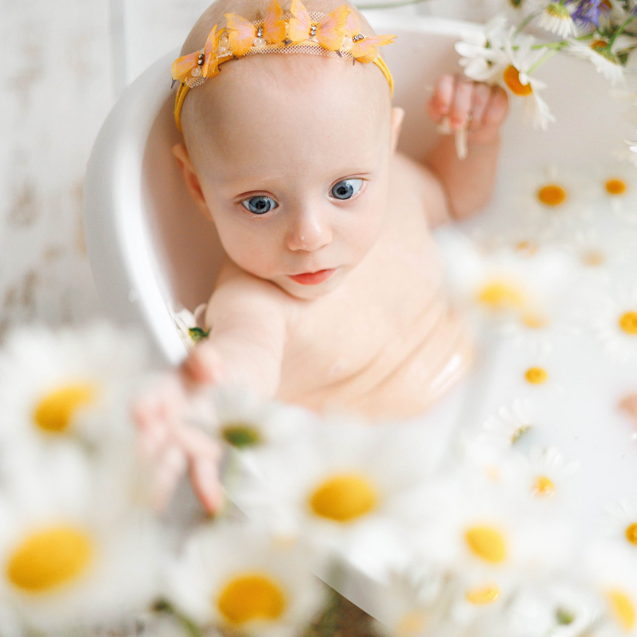 Молочные купания с ромашками. Фотограф новорождённых в Йошкар-Оле Ильмира Сидоркина